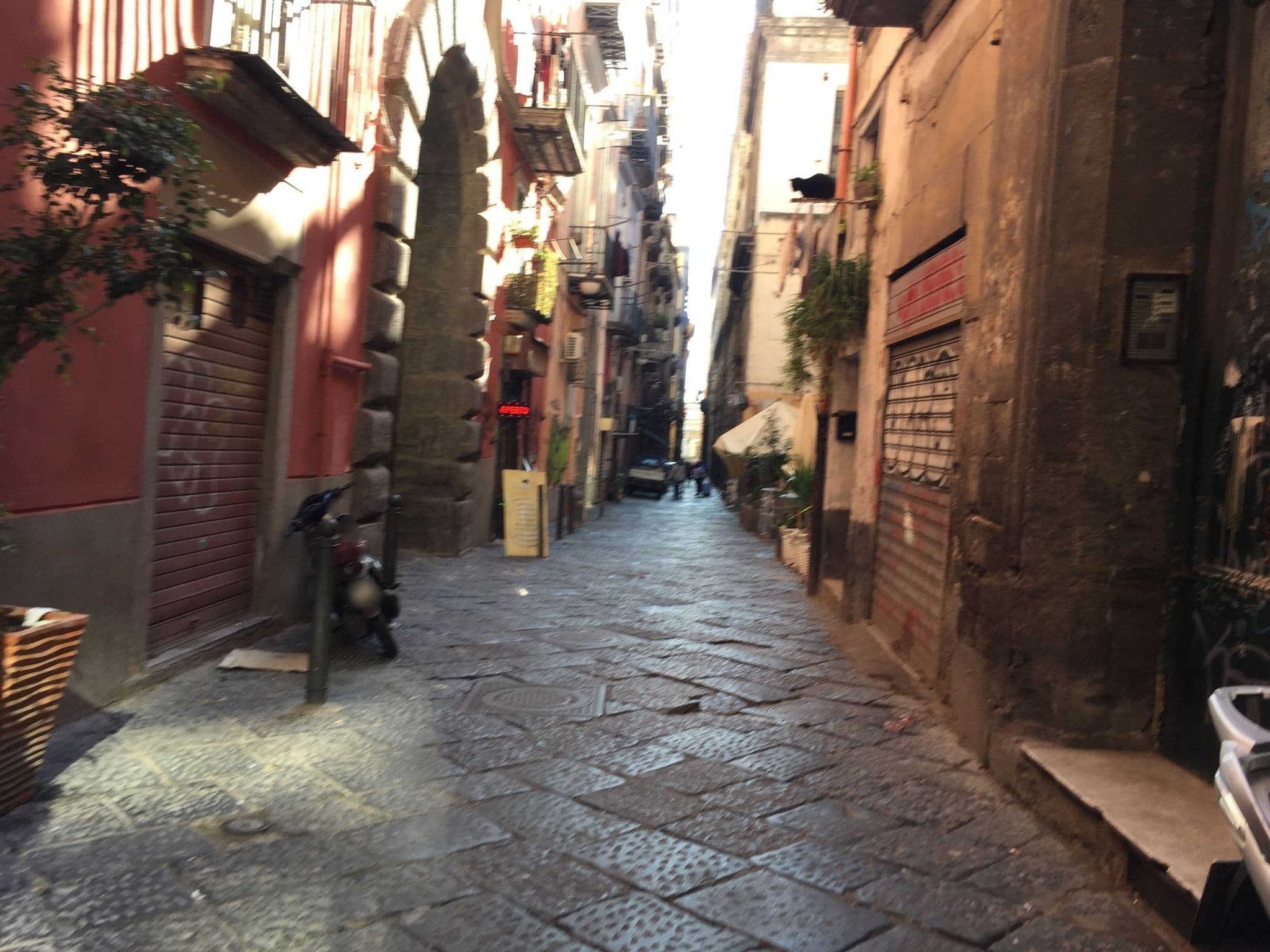 Street view near Nel corpo di Napoli, Porto — © dvdmgl (CC BY-SA · Mapillary)