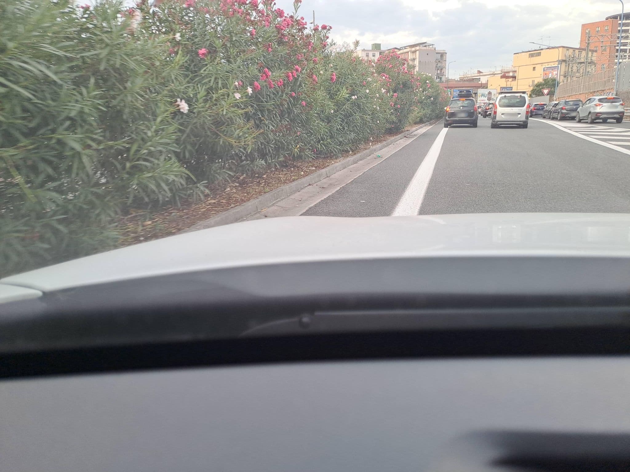 Street view near Ma.Mi. SAS di Mariapia Asta, Zona Industriale — © lux17 (CC BY-SA · Mapillary)