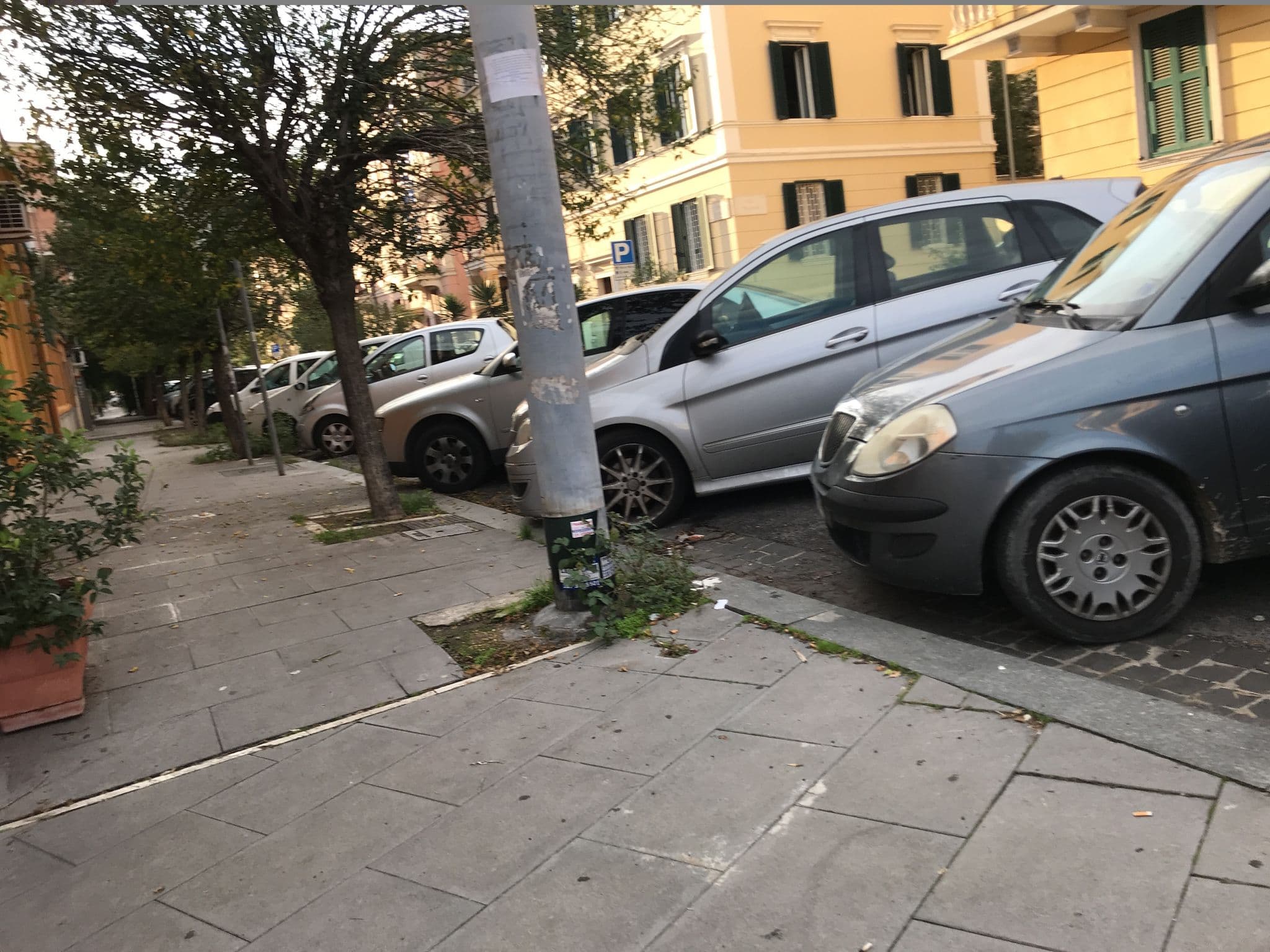 Street view near Il B&B della Mamma, Castro Pretorio — © miguel_andrade (CC BY-SA · Mapillary)