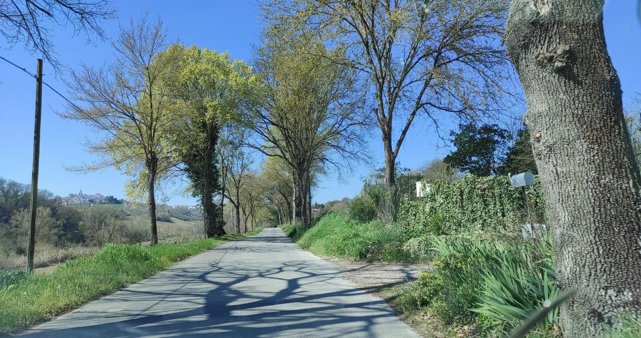 Street view near B&B Il Girasole delle Marche, Macerata — © jeawrong (CC BY-SA · Mapillary)