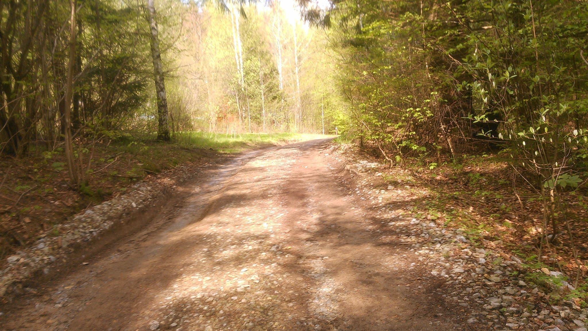 Street view near Medvedia Chata, Valaská — © michalp (CC BY-SA · Mapillary)