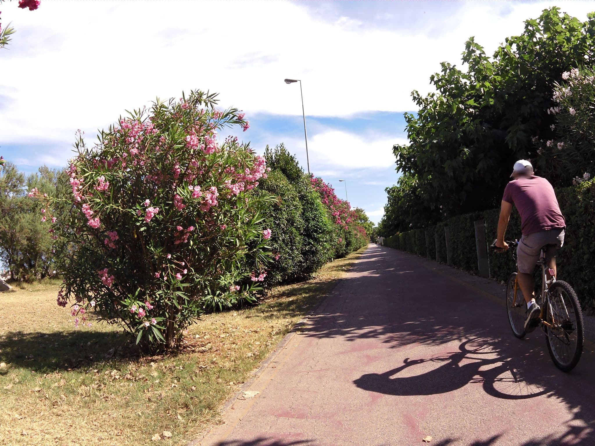 Street view near Bungalo, Lido di Fermo — © czmrtn (CC BY-SA · Mapillary)