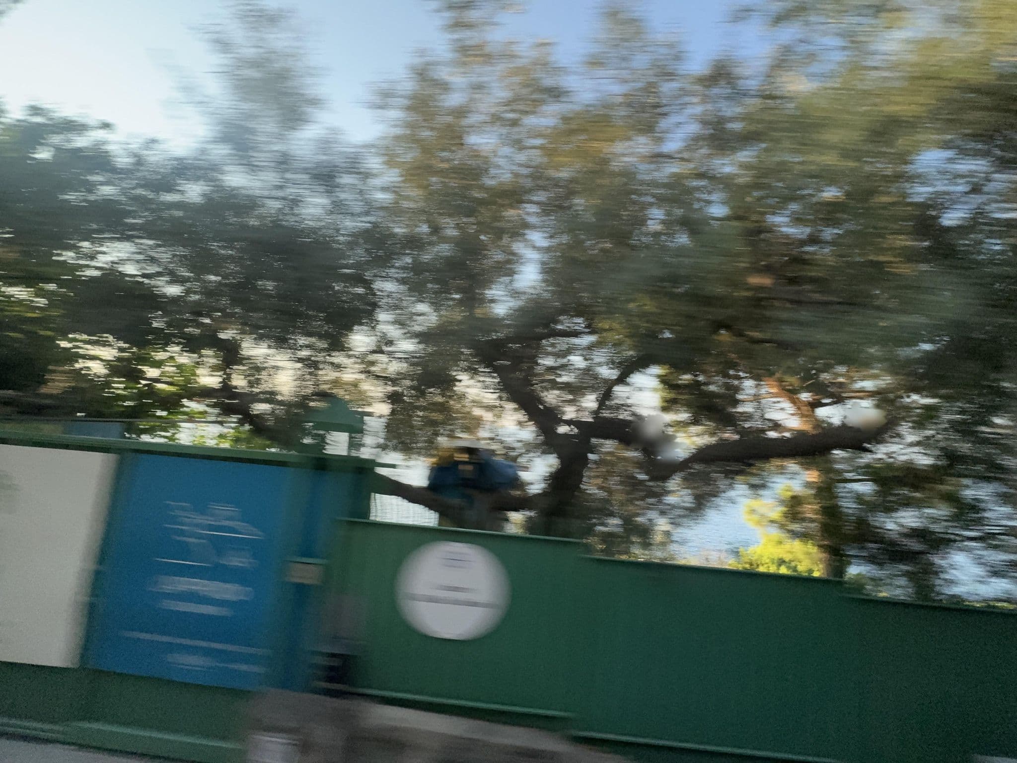 Street view near B&B da Claudio, Pianillo — © mapconcierge (CC BY-SA · Mapillary)