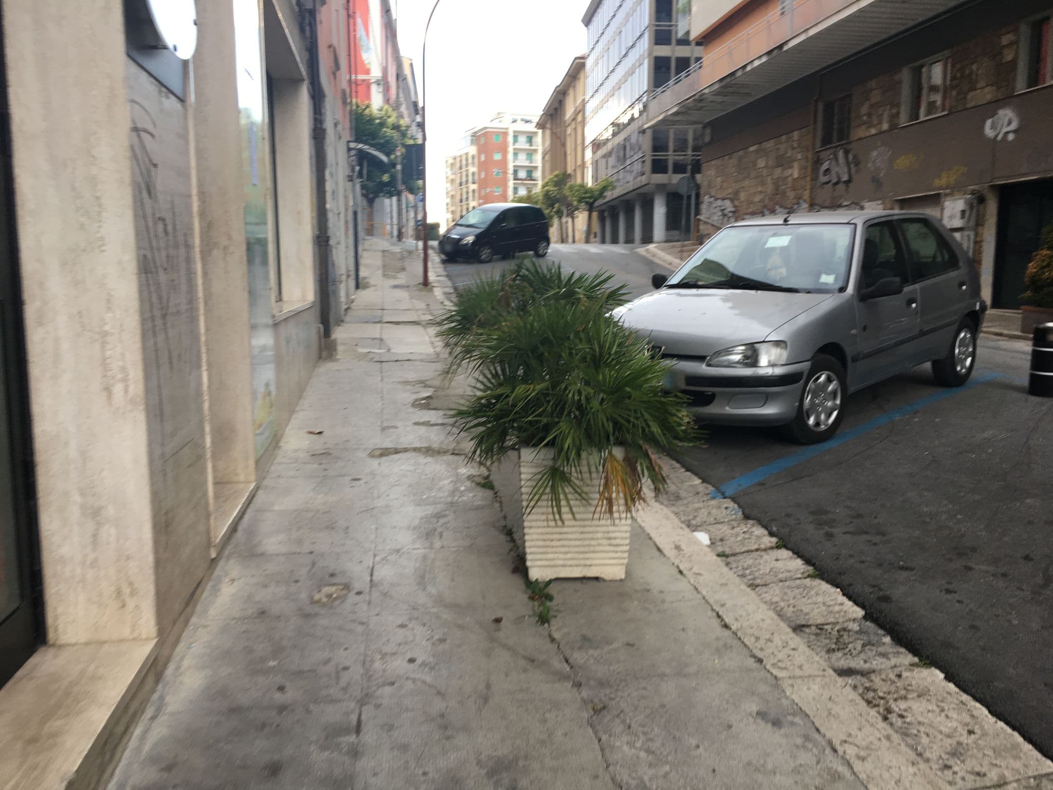Street view near Casa Angela, Campobasso — © francescadant (CC BY-SA · Mapillary)
