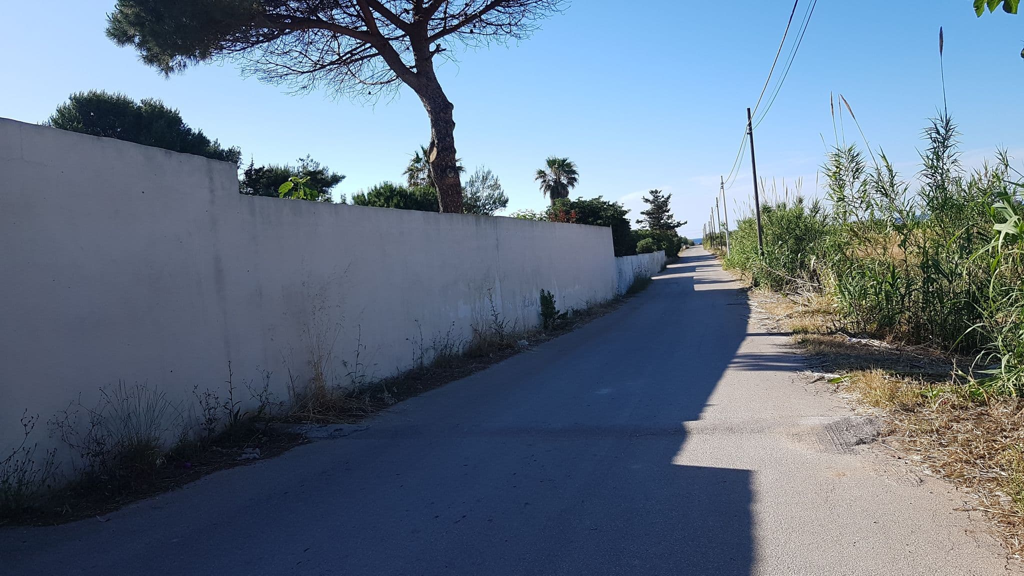 Street view near Incantalupi, Brindisi — © ale_zena_it (CC BY-SA · Mapillary)