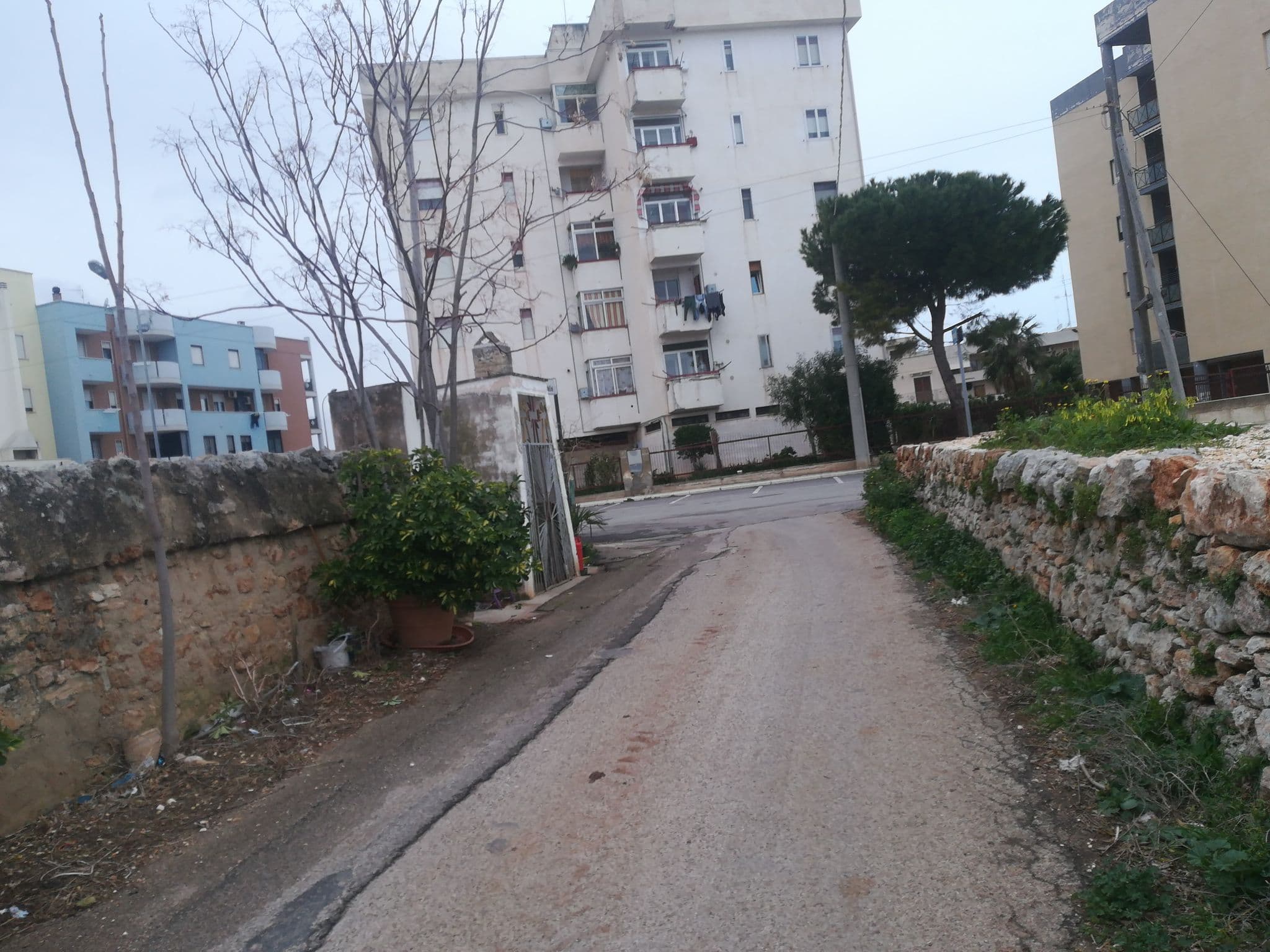Street view near Casina della Gioia, Polignano a Mare — © jeawrong (CC BY-SA · Mapillary)