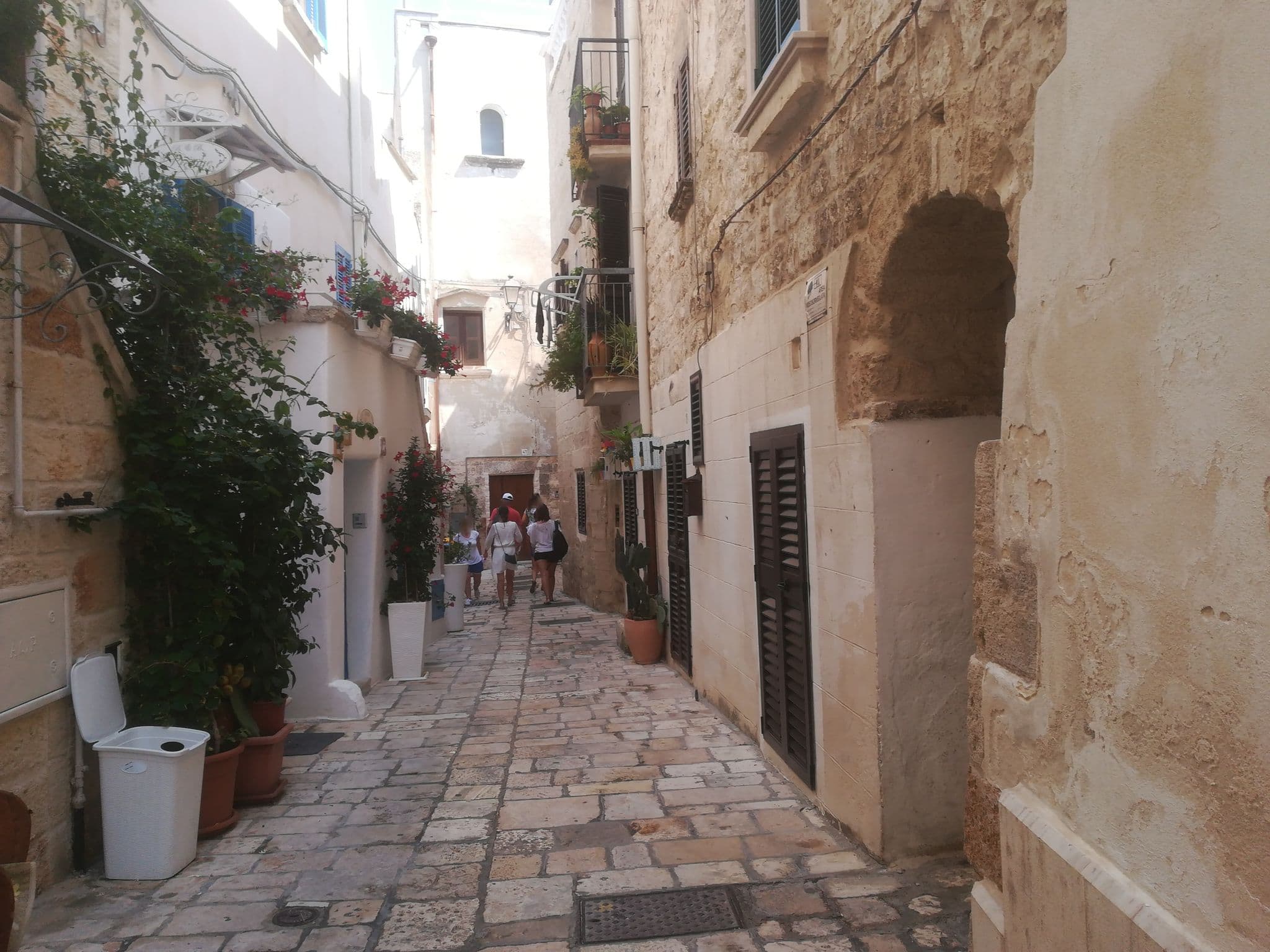 Street view near Palazzo Ventura, Polignano a Mare — © jeawrong (CC BY-SA · Mapillary)