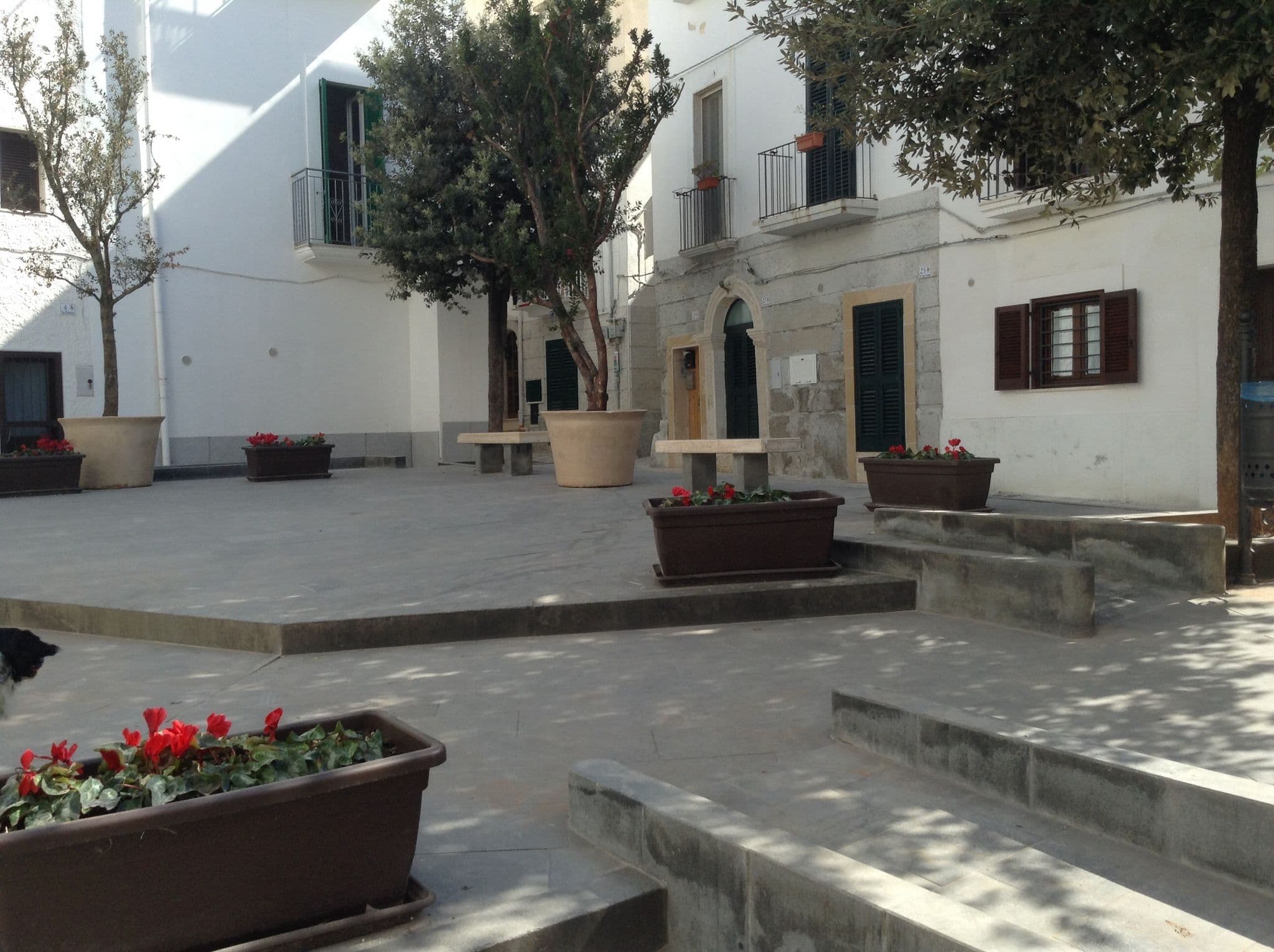 Street view near Puglia Living Room, Monopoli — © mescafe (CC BY-SA · Mapillary)