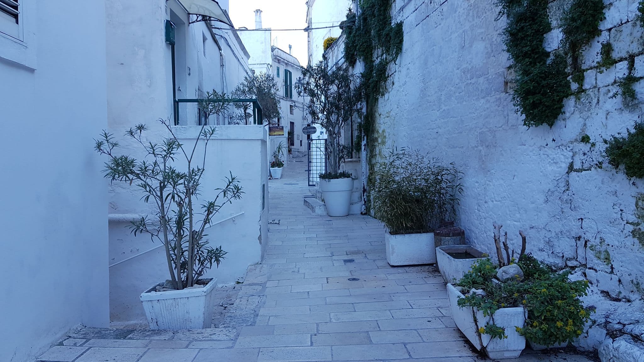 Street view near Dimora Terra Marique, Ostuni — © ale_zena_it (CC BY-SA · Mapillary)