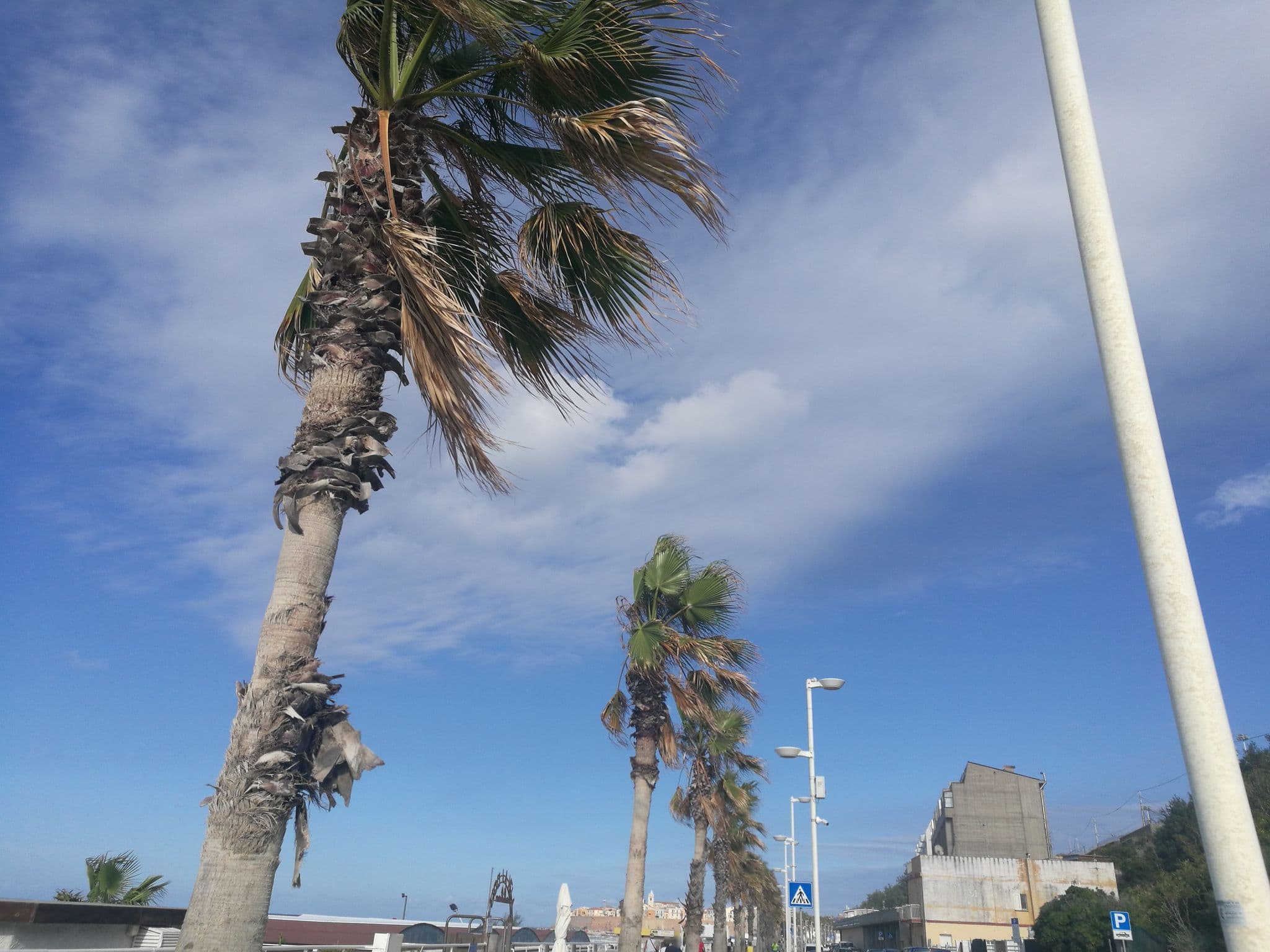 Street view near Garim, Termoli — © doduva2 (CC BY-SA · Mapillary)