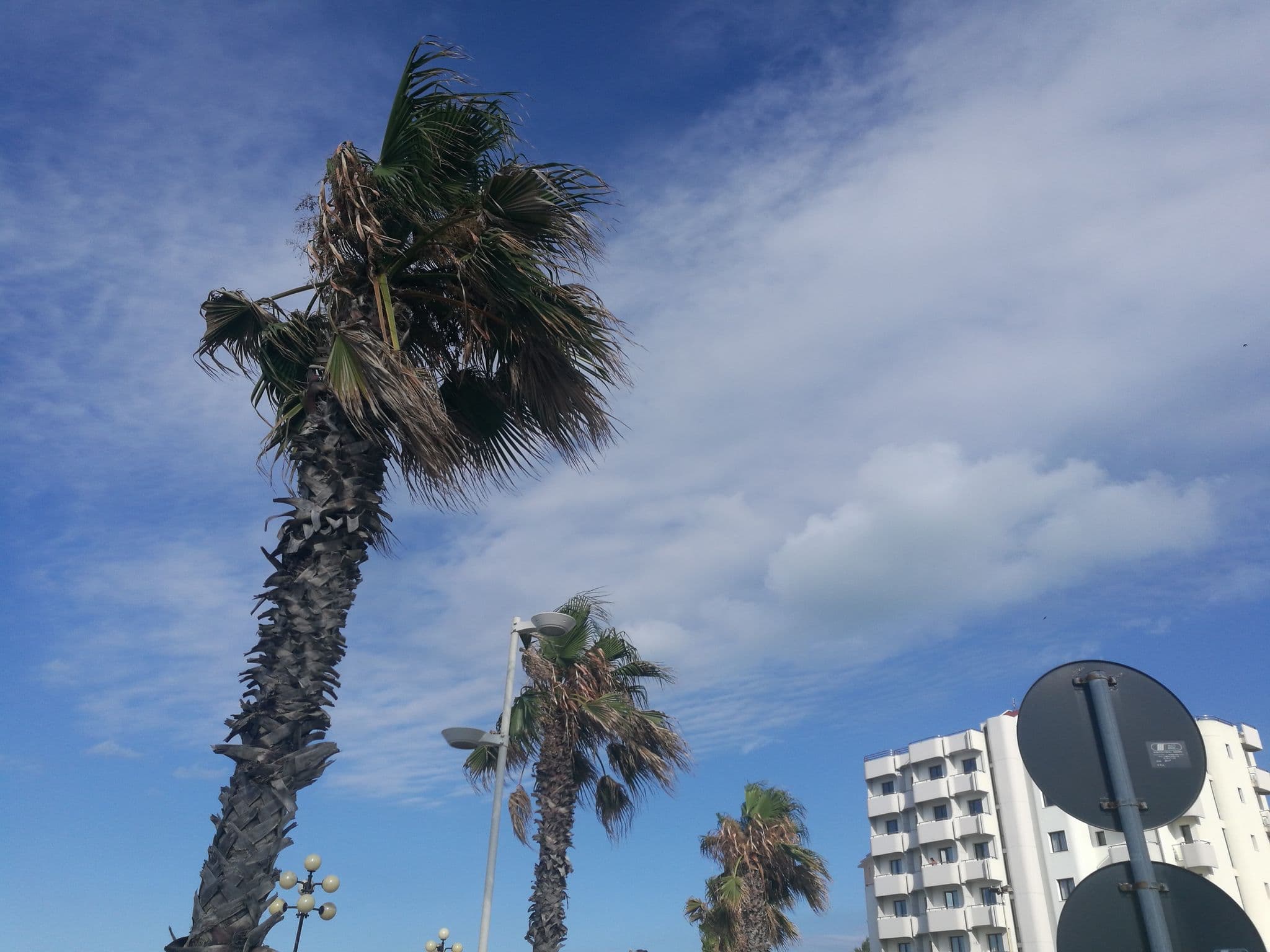 Street view near Meridiano Hotel Termoli, Termoli — © doduva2 (CC BY-SA · Mapillary)