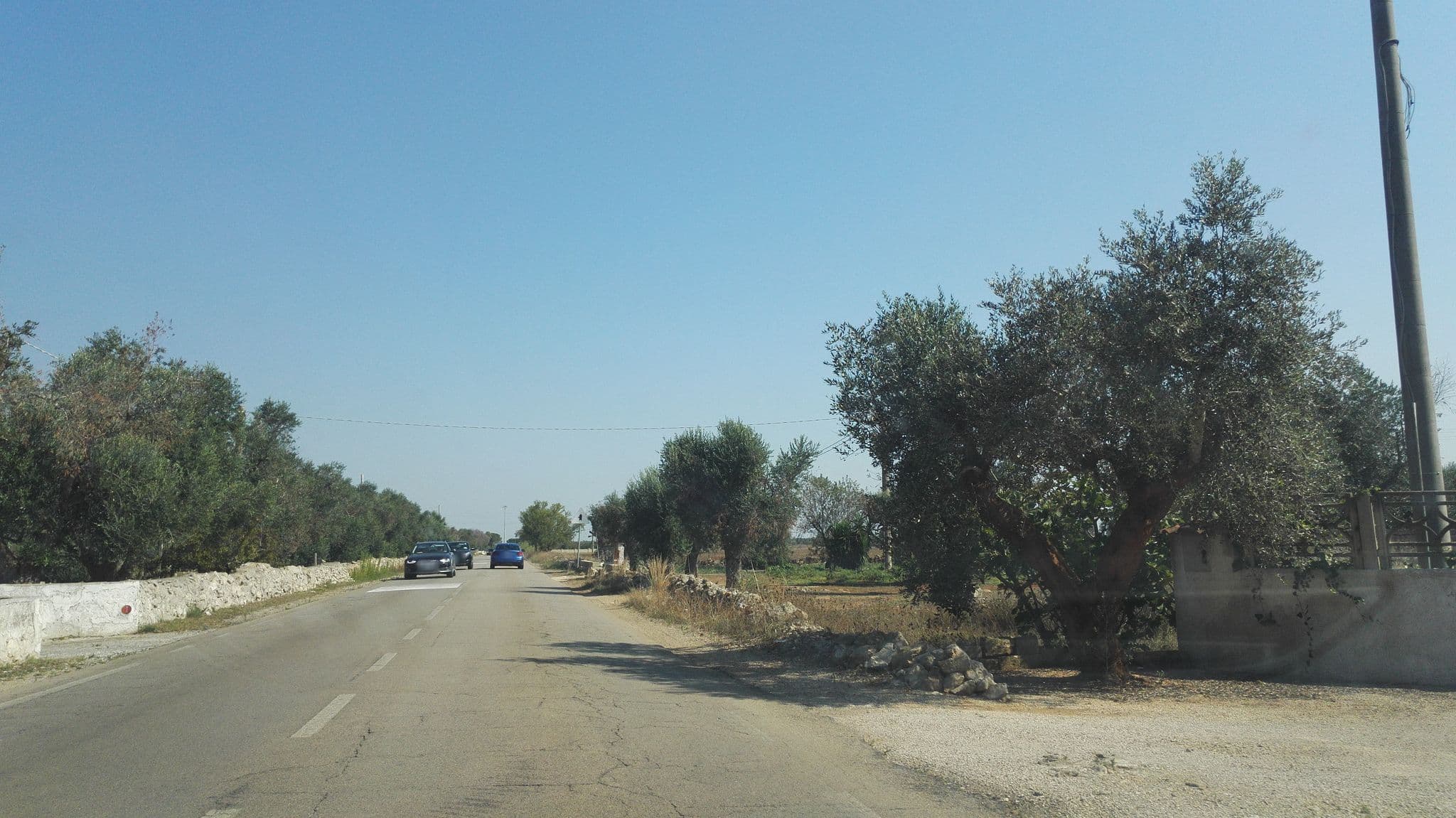 Street view near Corte dei Donno, Galatone — © marcuscalabresus (CC BY-SA · Mapillary)