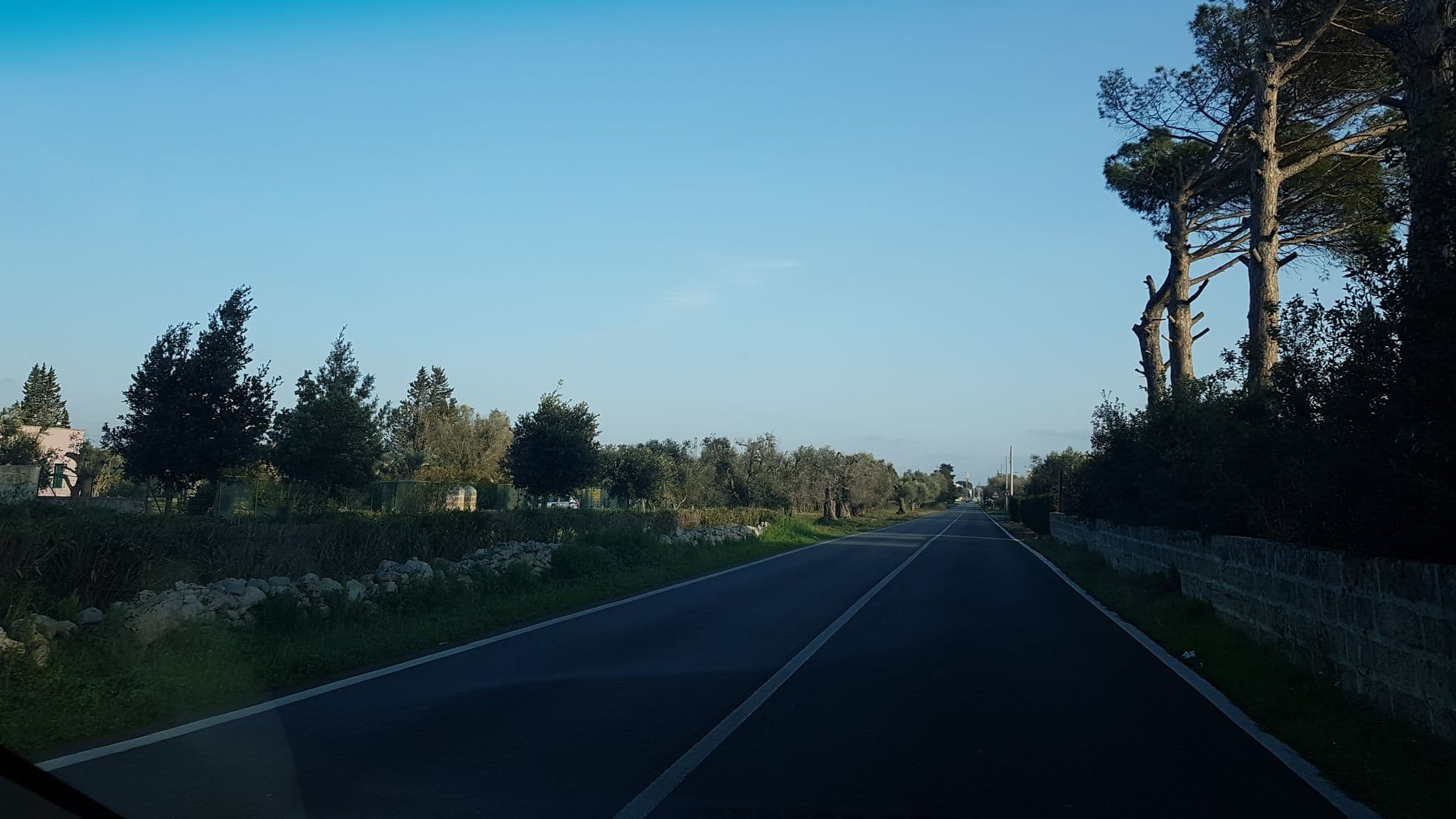 Street view near Terra dei Padri SRL - Società Agricola, Campi Salentina — © ale_zena_it (CC BY-SA · Mapillary)