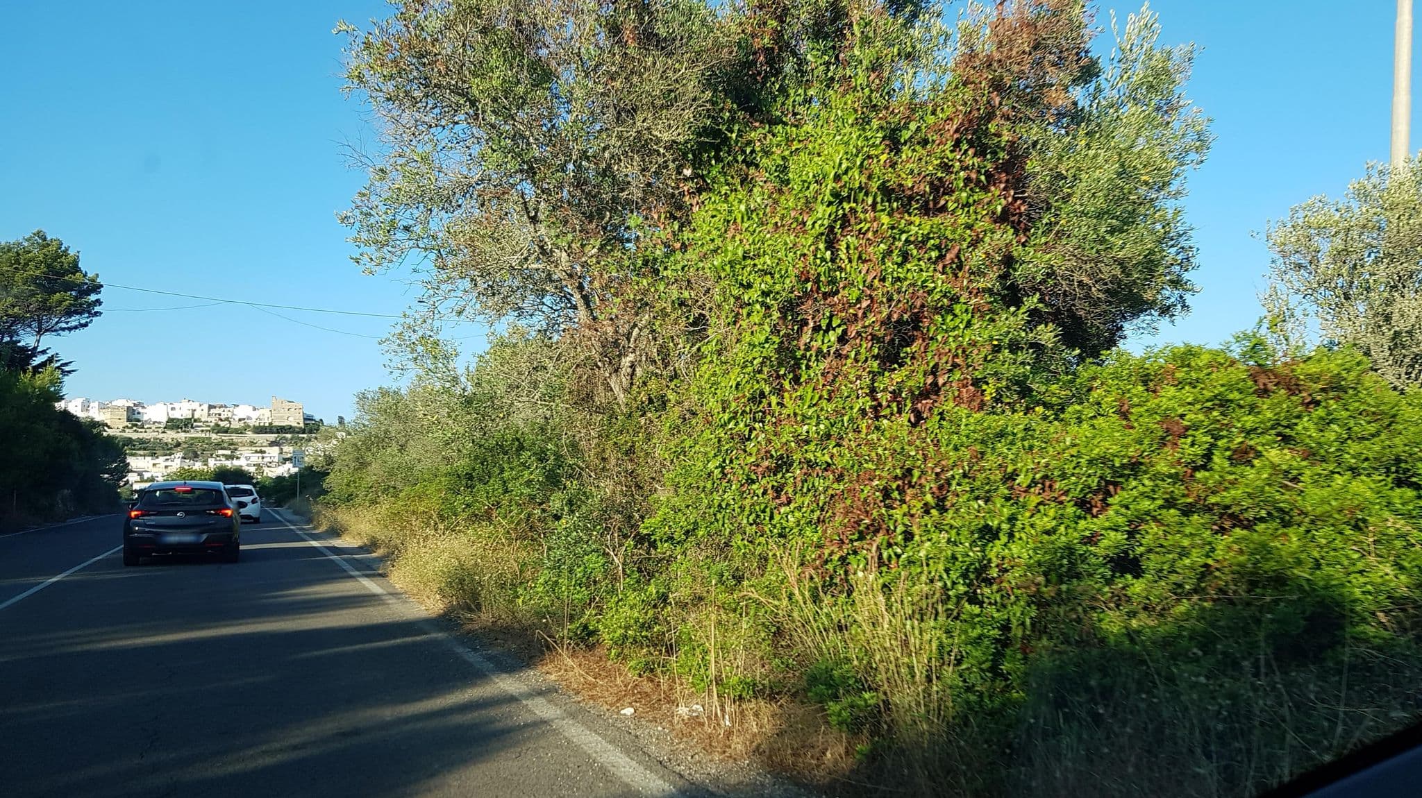 Street view near Amoru Bed & Breakfast, Castro — © ale_zena_it (CC BY-SA · Mapillary)