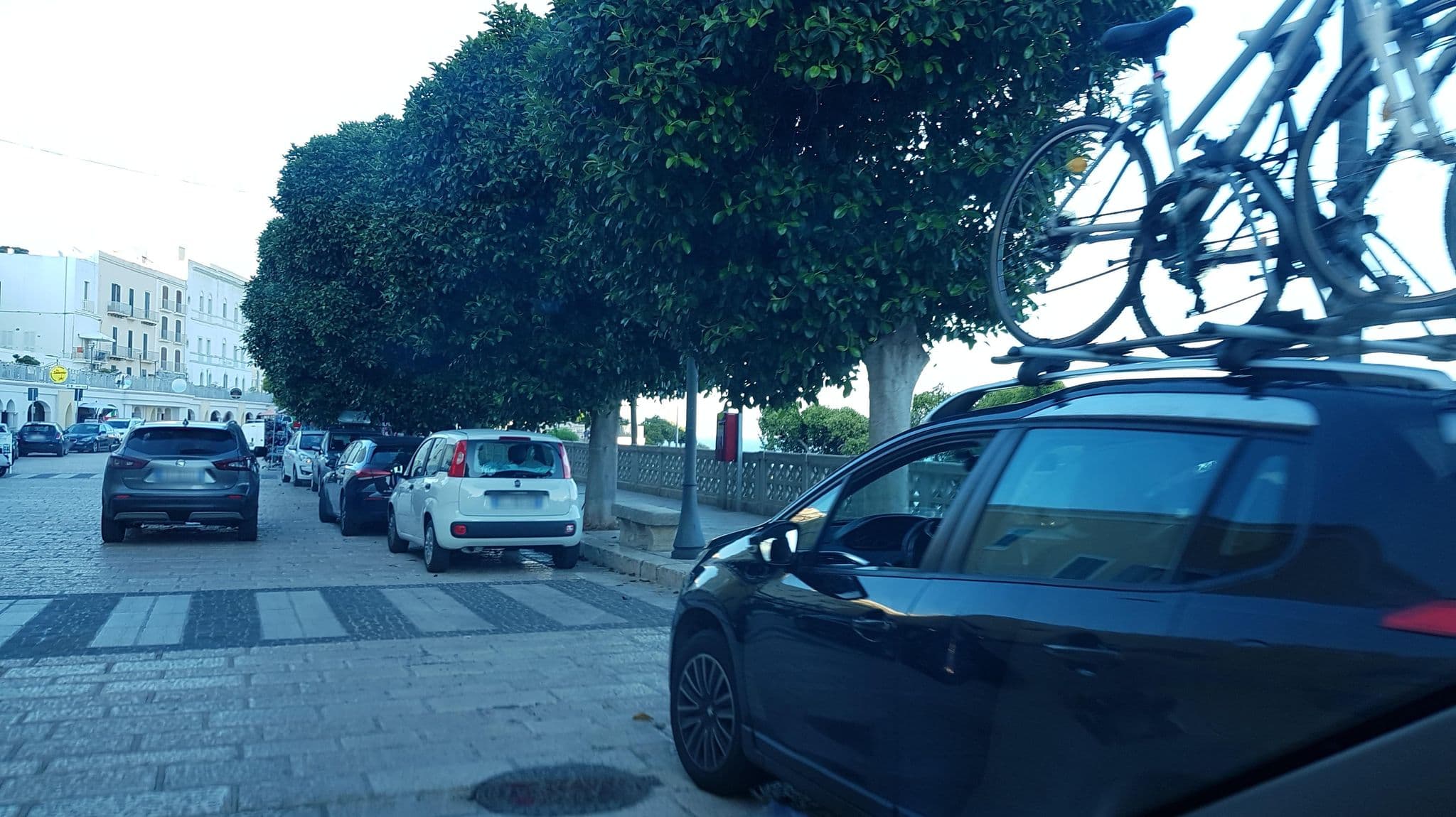 Street view near Complesso Palazzo Rizzelli, Cerfignano — © ale_zena_it (CC BY-SA · Mapillary)
