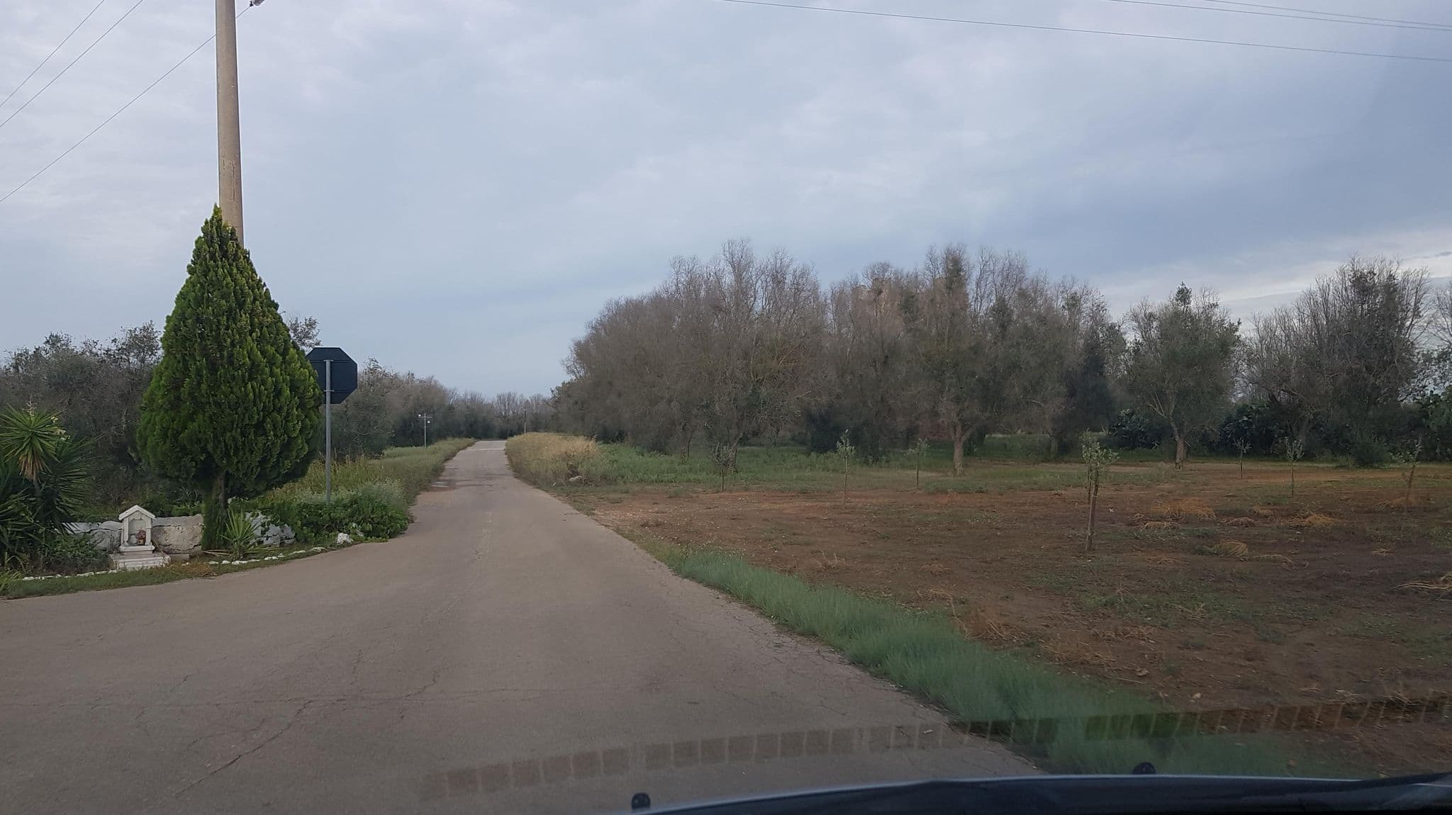Street view near Casa Serradei, Torchiarolo — © ale_zena_it (CC BY-SA · Mapillary)