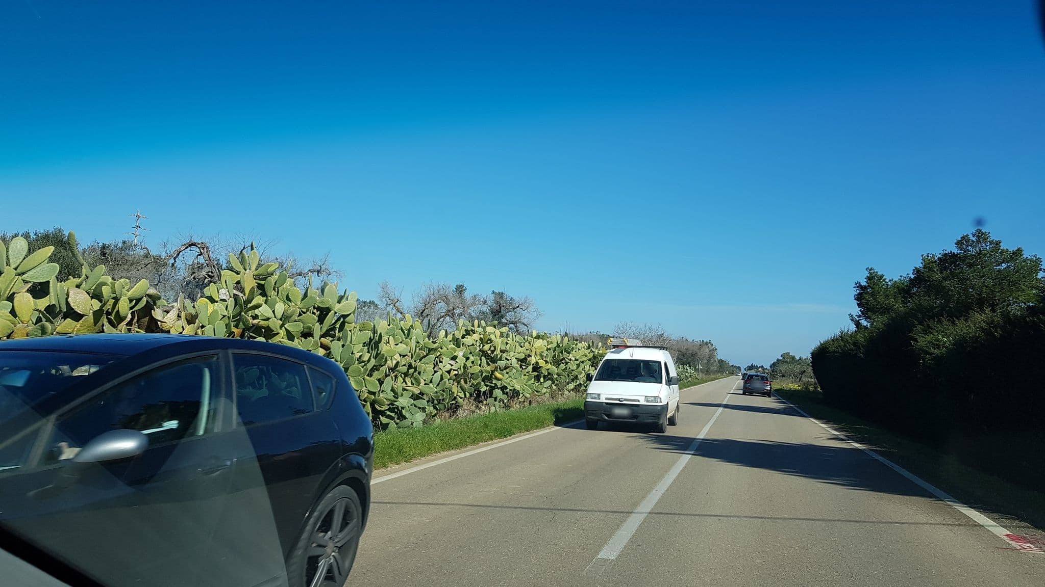 Street view near Masseria Monache, Torchiarolo — © ale_zena_it (CC BY-SA · Mapillary)
