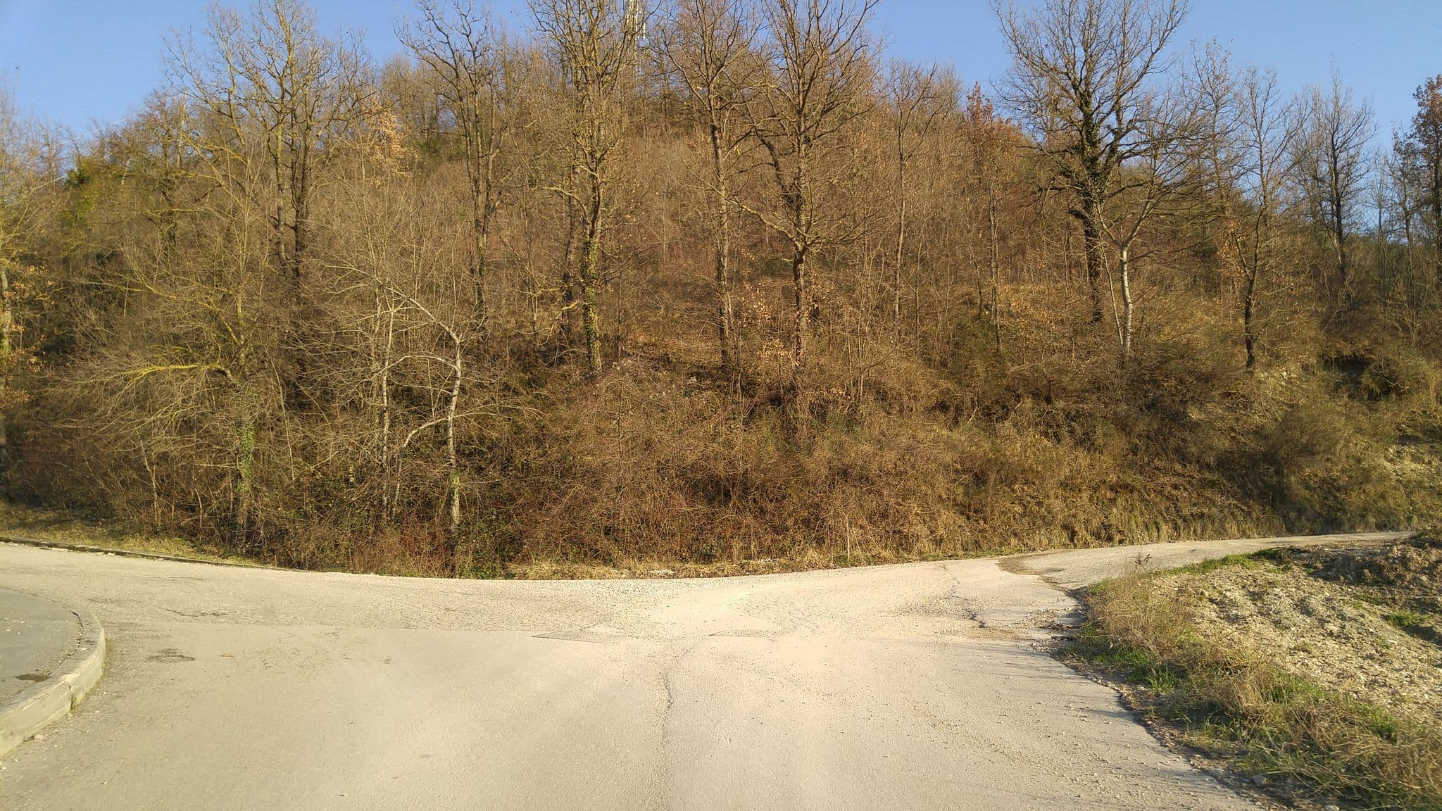 Street view near Ca Le Suore Società Agricola SRL, Cagli — © sorcrosc (CC BY-SA · Mapillary)