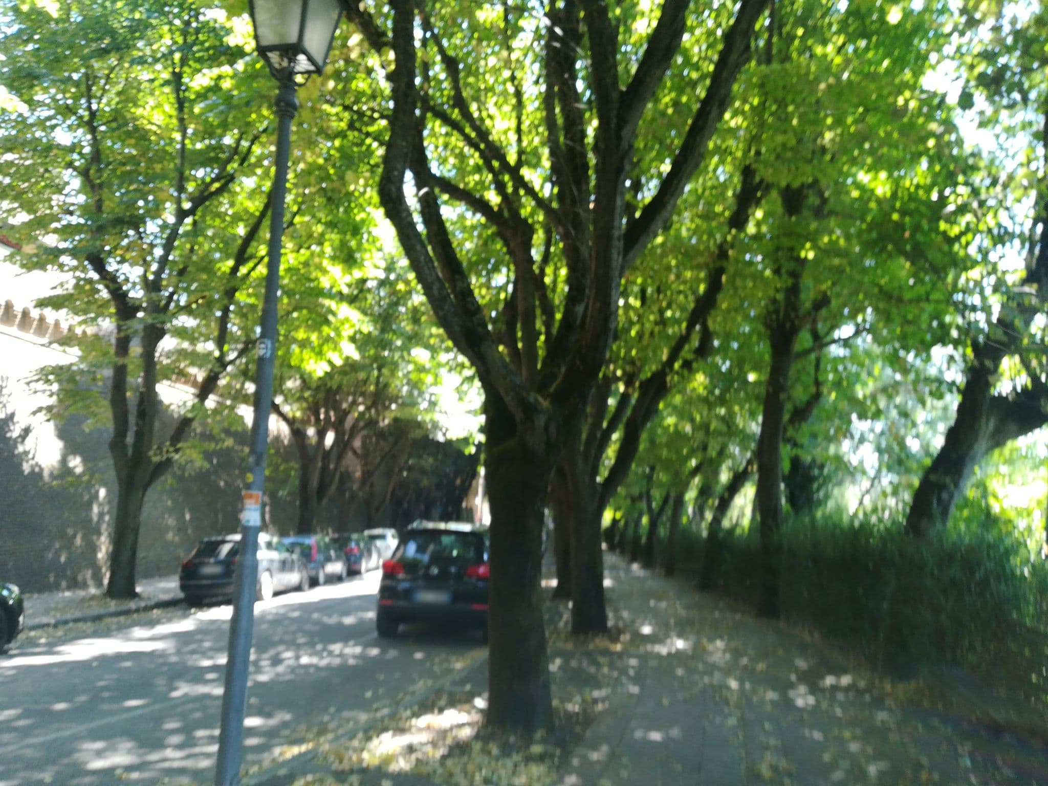 Street view near albergo palazzo delle benedettine, Corinaldo — © jeawrong (CC BY-SA · Mapillary)