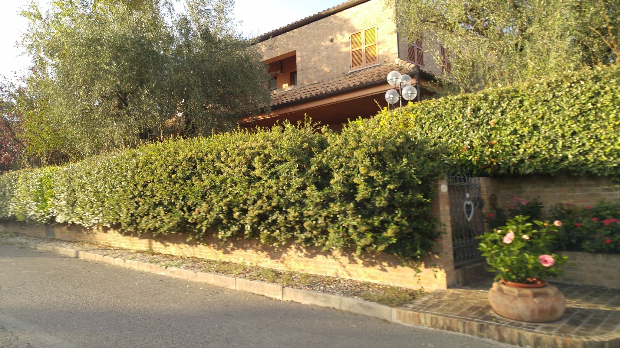 Street view near B&B Antico Ulivo, Calcinelli — © sorcrosc (CC BY-SA · Mapillary)