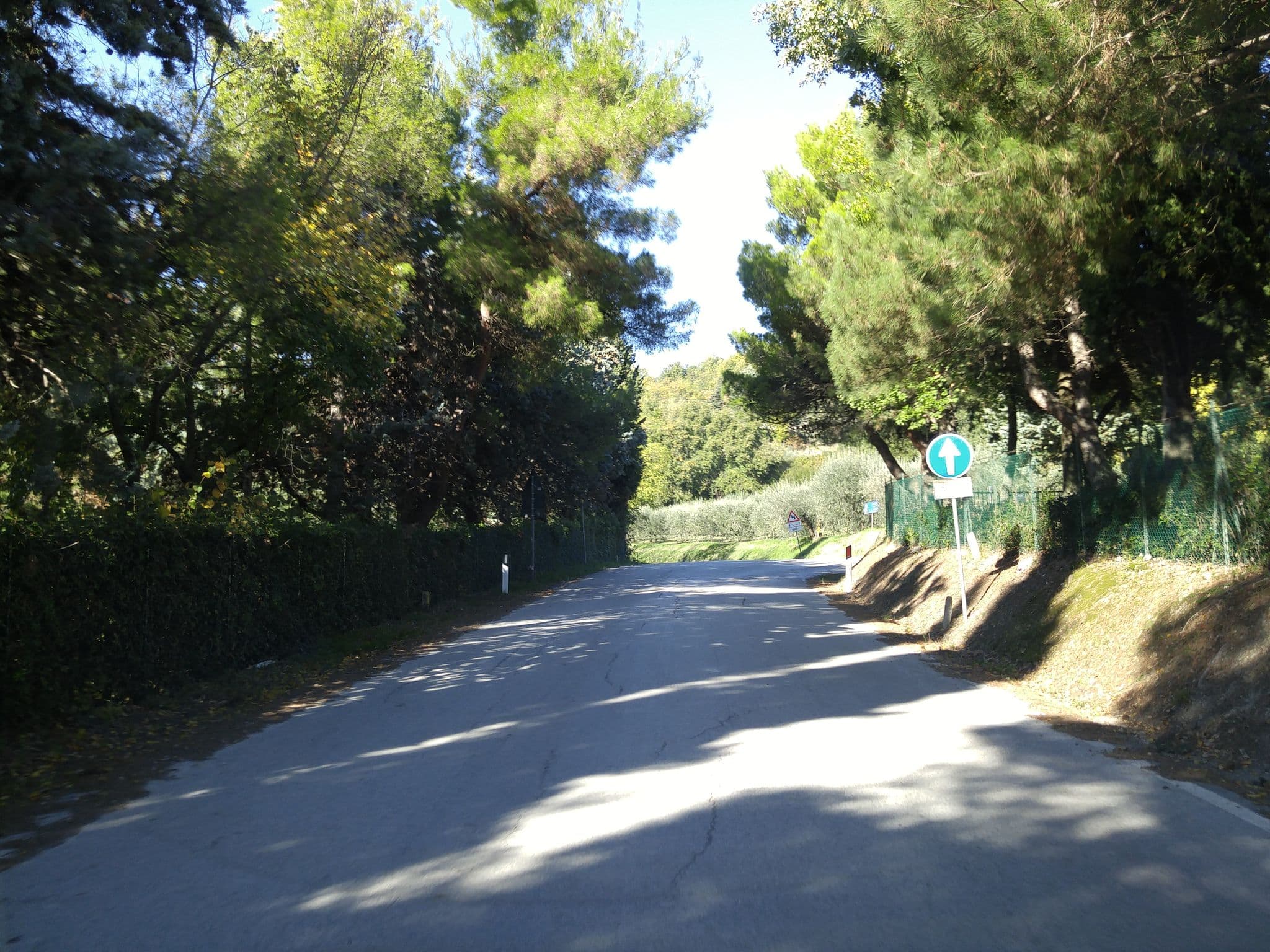 Street view near La Meridiana, Calcinelli — © sorcrosc (CC BY-SA · Mapillary)