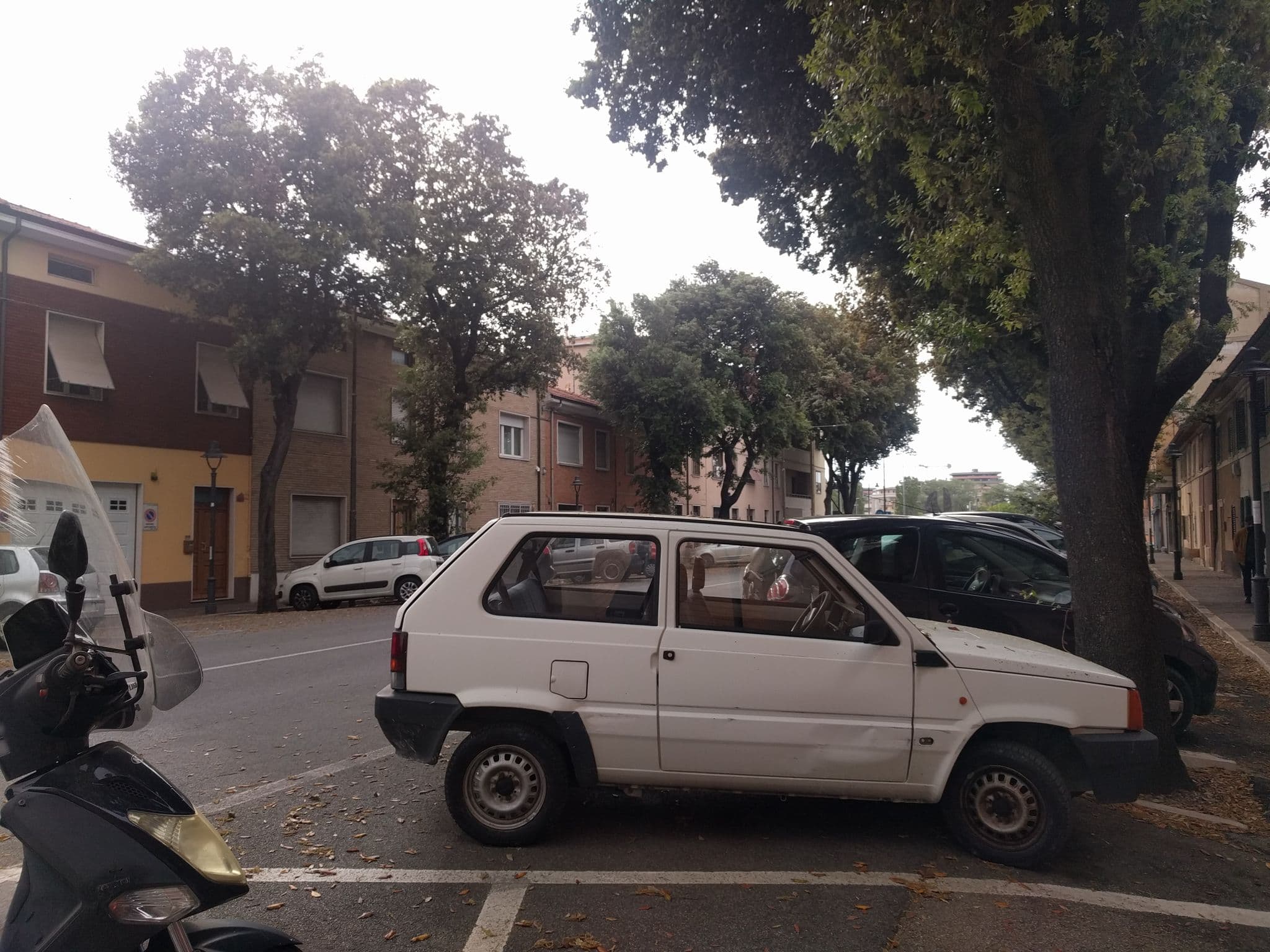 Street view near Ginko, Pesaro — © sorcrosc (CC BY-SA · Mapillary)