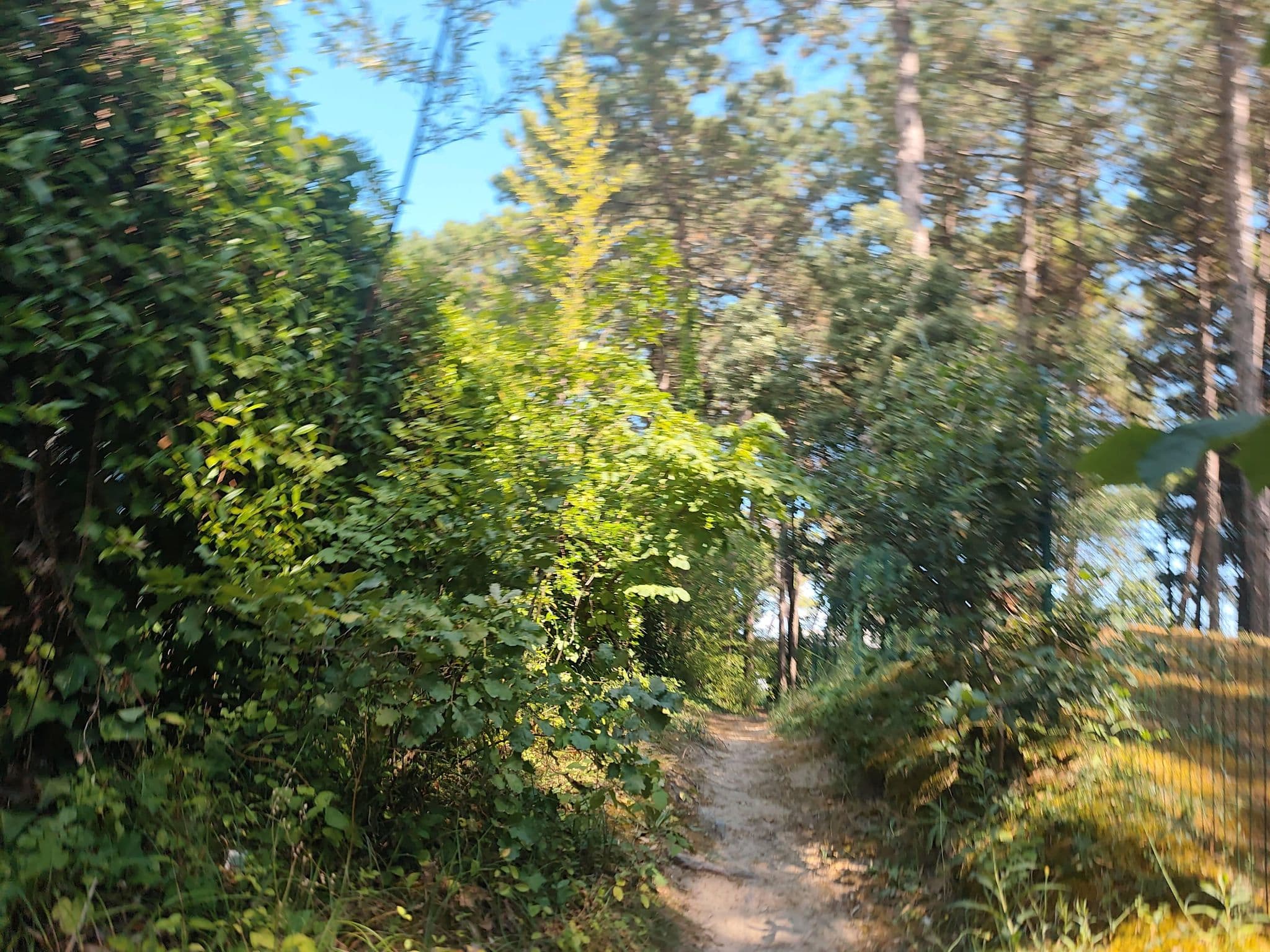 Street view near Villa delle Terme, Lignano Sabbiadoro — © Duro (CC BY-SA · Mapillary)