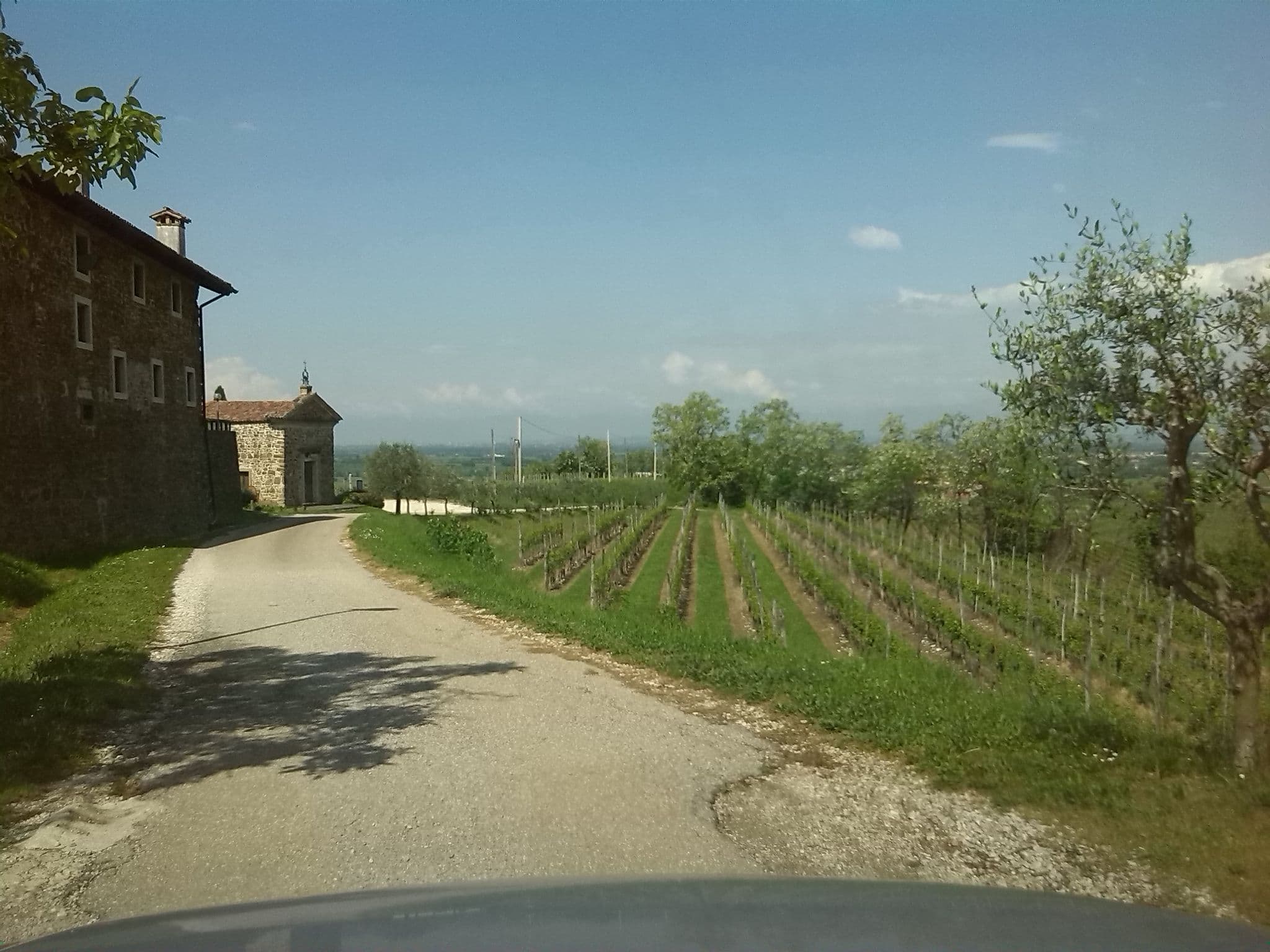 Street view near Ronchi di Sant' Egidio, Corno di Rosazzo — © cascafico (CC BY-SA · Mapillary)