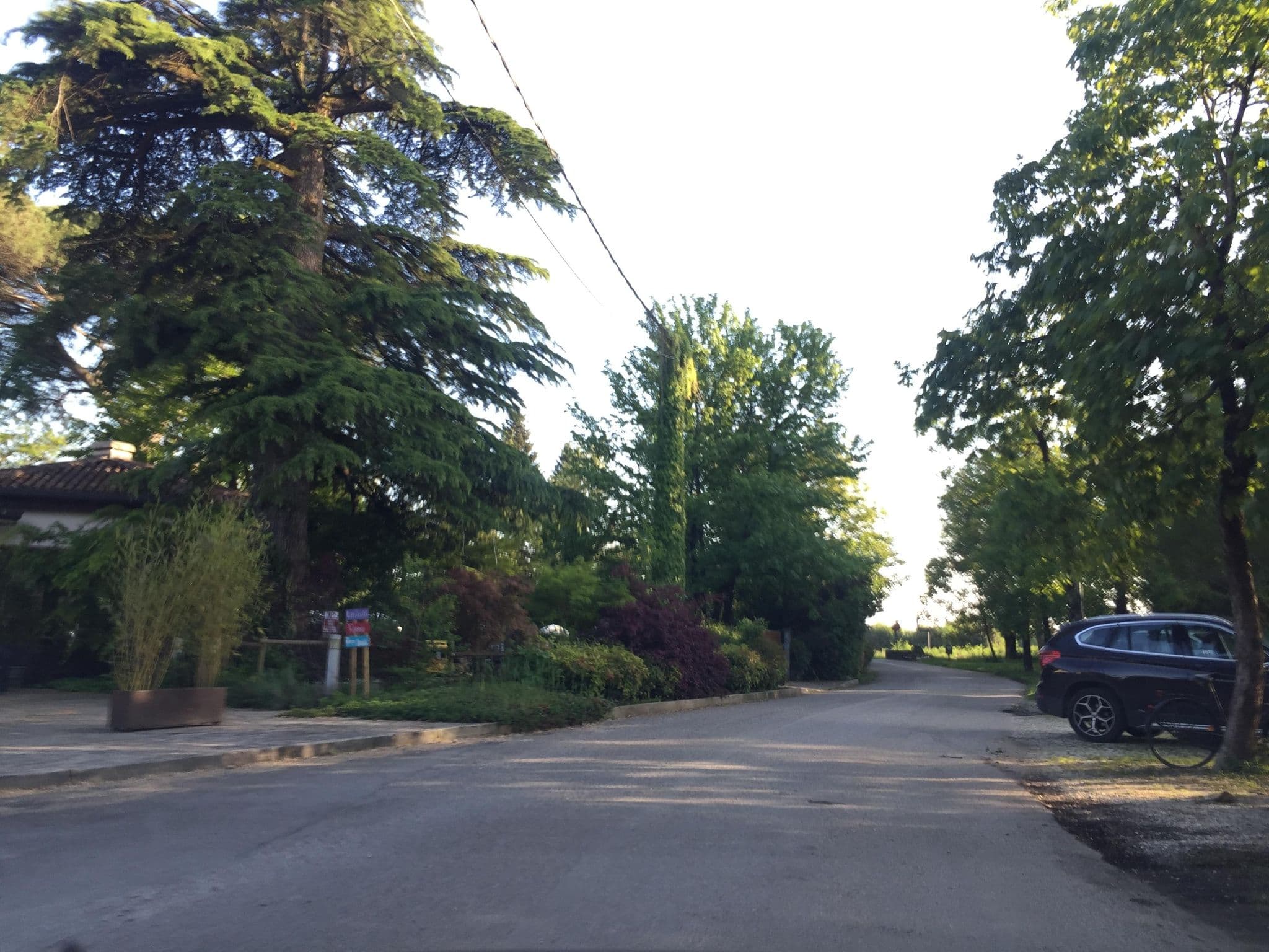 Street view near Vinnaeria La Baita, Capriva del Friuli — © igorzo (CC BY-SA · Mapillary)