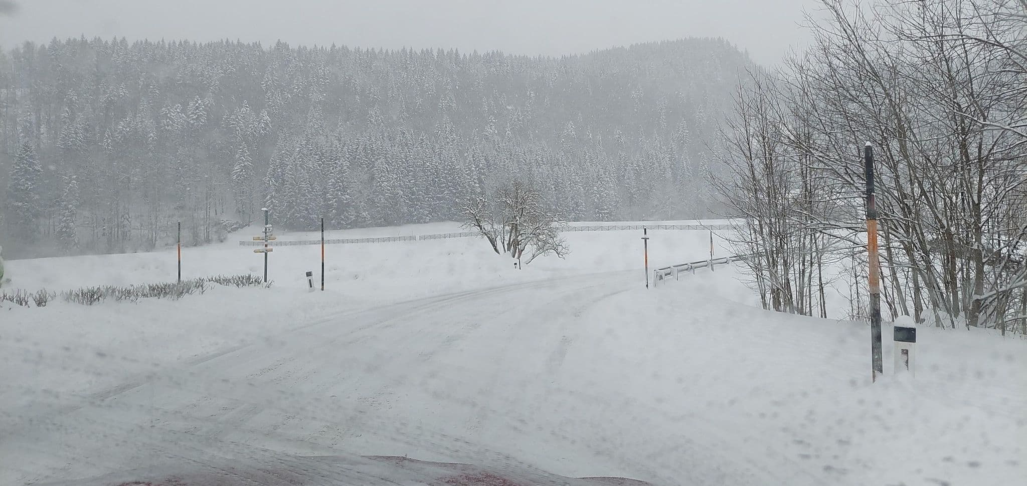 Street view near Fremdenzimmer Lassinghof, Mariazell — © gzin (CC BY-SA · Mapillary)