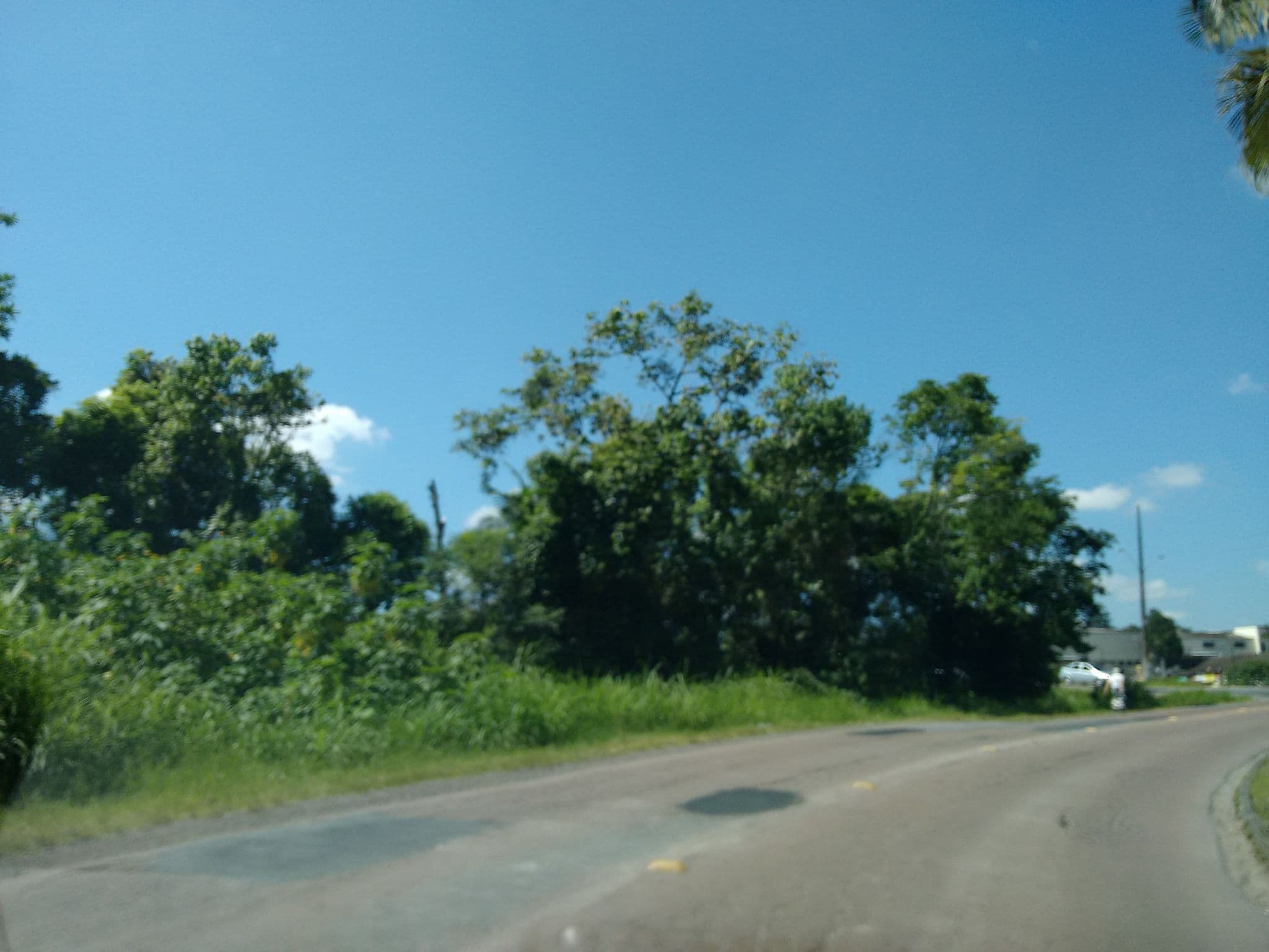 Street view near Hotel Jambo, Blumenau — © alvarenga (CC BY-SA · Mapillary)