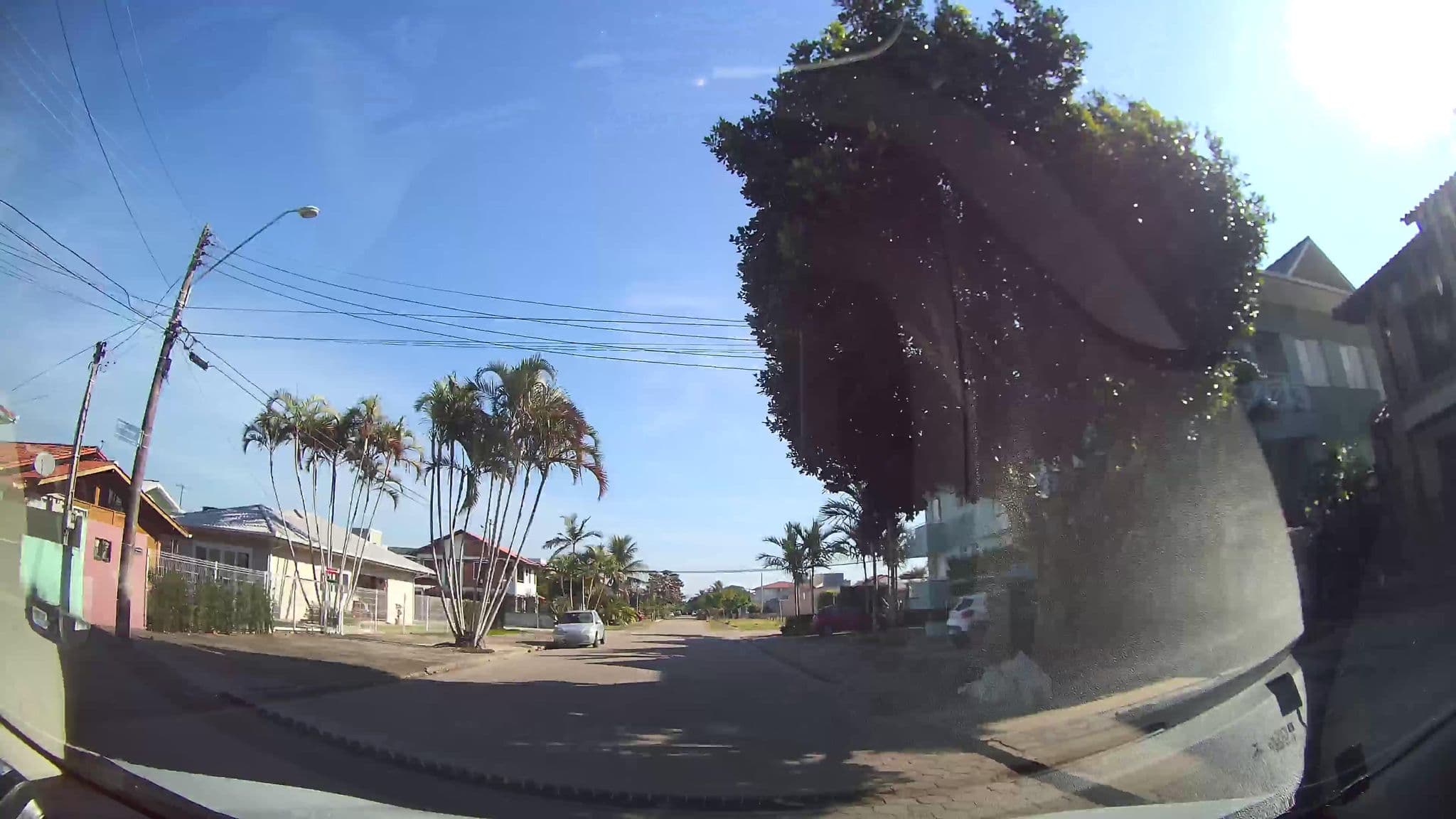 Street view near Pousada dos Artistas, Biguaçu — © marciosampaio (CC BY-SA · Mapillary)