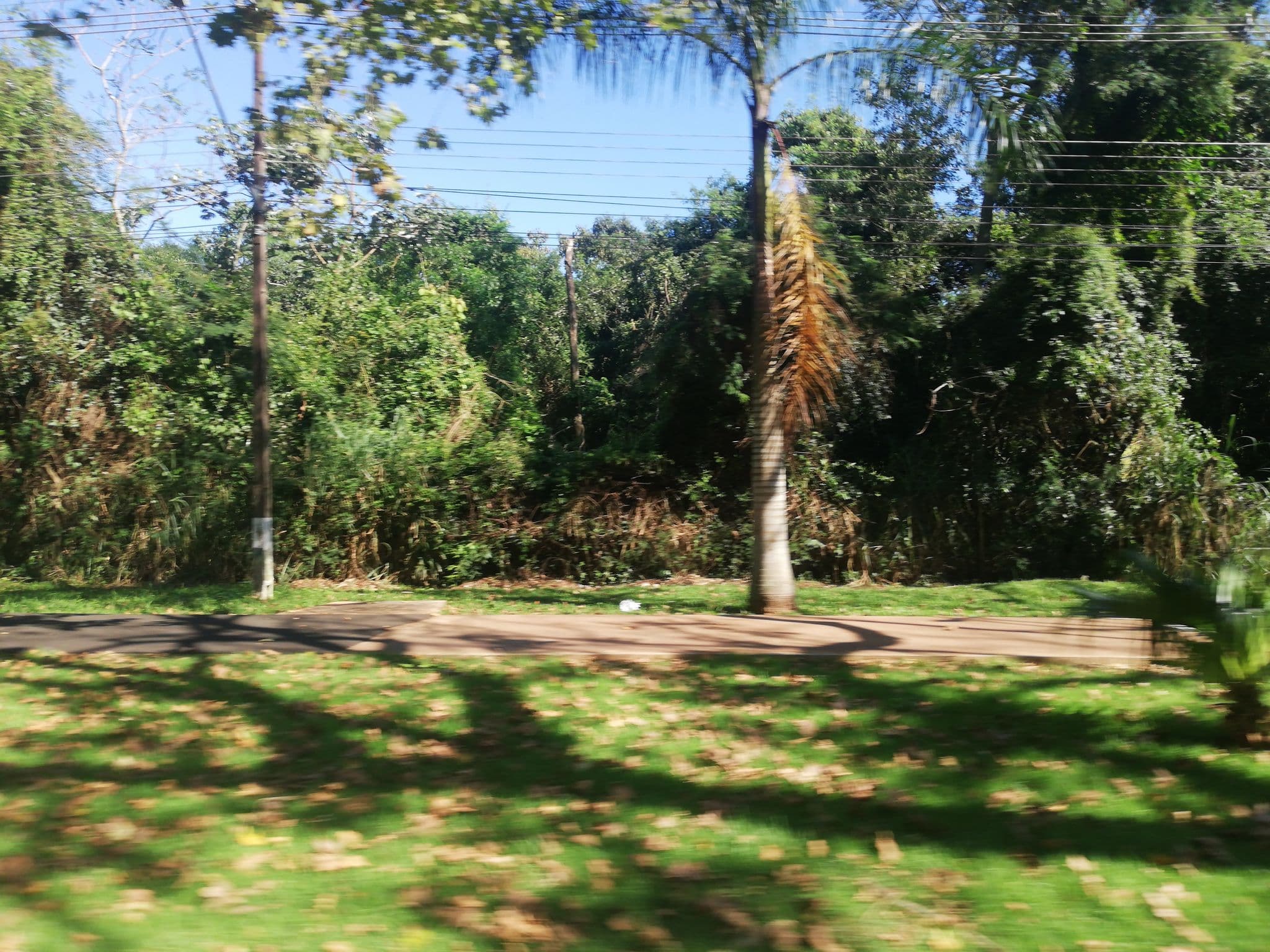 Street view near Pousada Águia Foz, Foz do Iguaçu — © carlosbrys (CC BY-SA · Mapillary)
