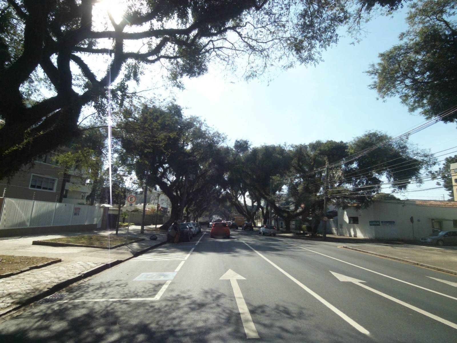Street view near Go Inn Hotel - Curitiba, Curitiba — © projevias (CC BY-SA · Mapillary)