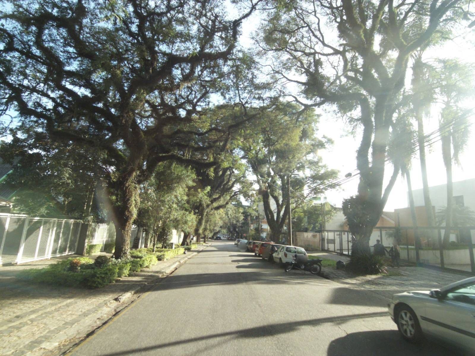 Street view near Manhattan Floor, Curitiba — © projevias (CC BY-SA · Mapillary)