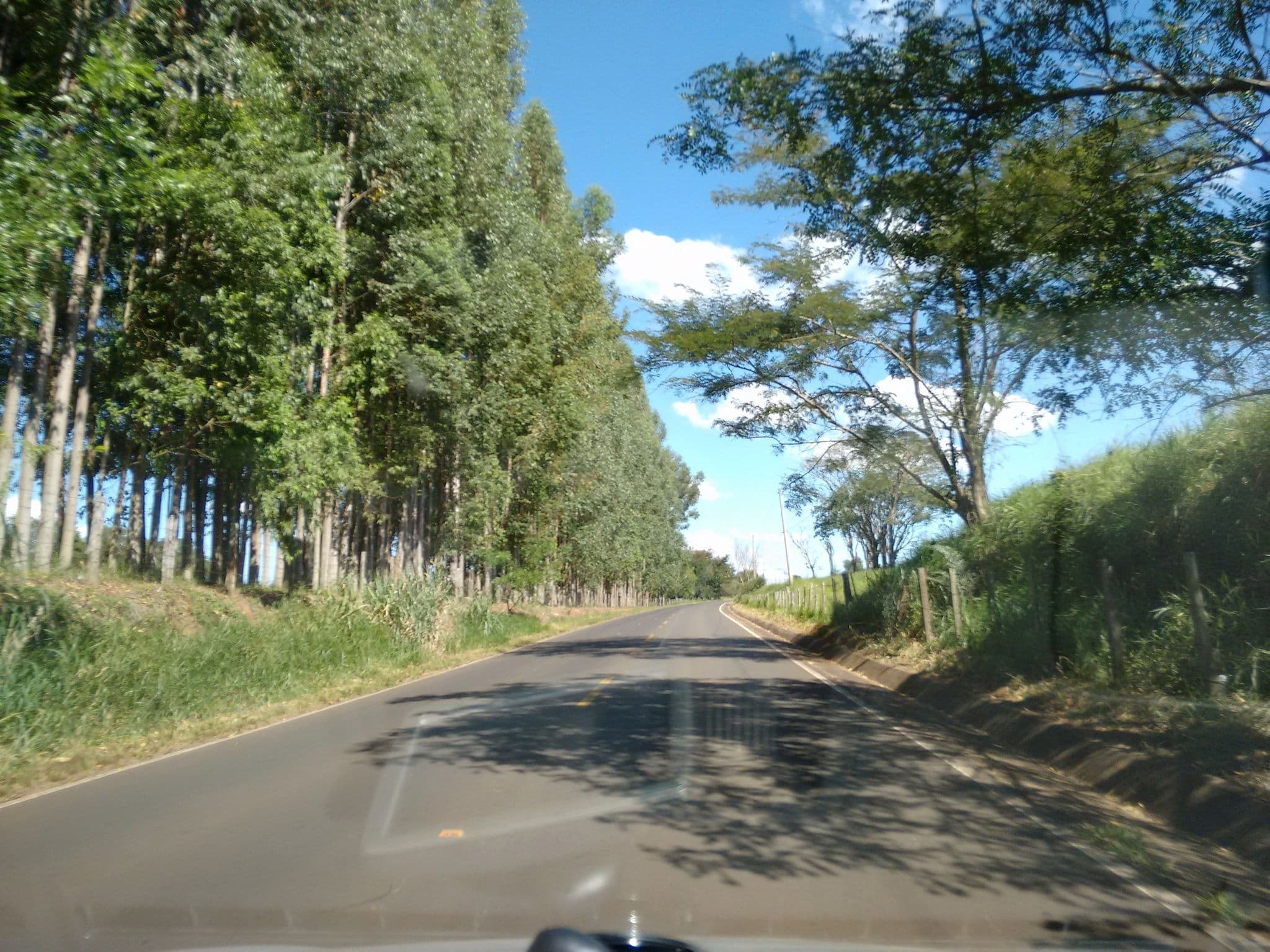 Street view near Hotel Fazenda Serra Da Cachoeira, Ribeirão Bonito — © naoliv (CC BY-SA · Mapillary)