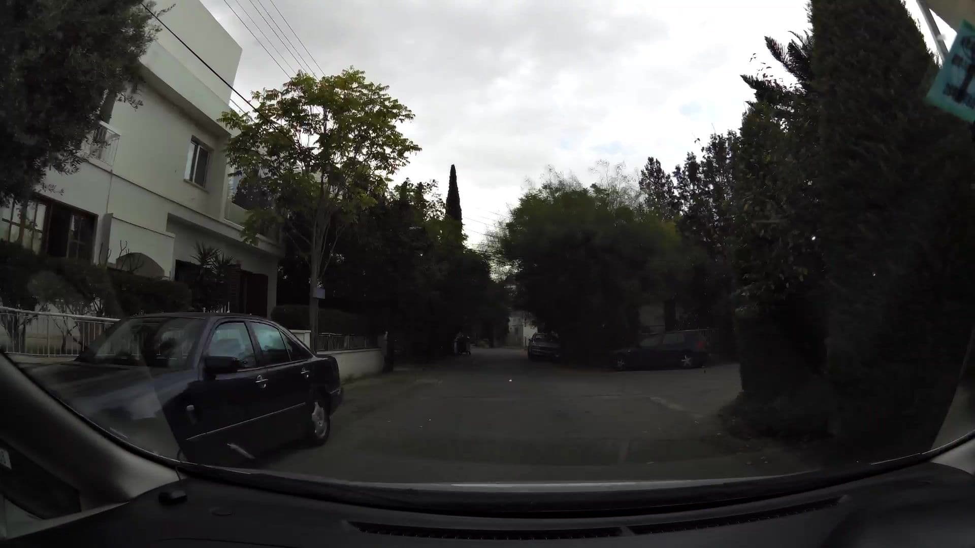 Street view near Ficus Tree Apartment, Nicosia — © kaartcam (CC BY-SA · Mapillary)