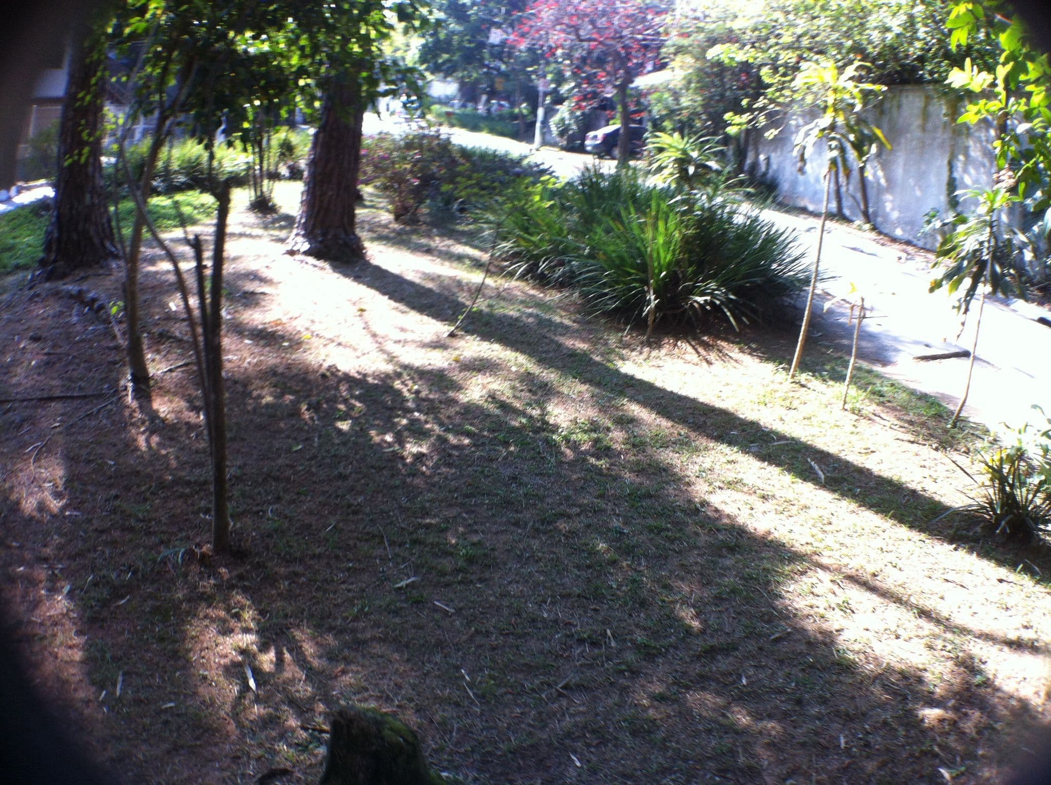 Street view near Hotel DuBon, Santo Amaro — © guilherme_peev (CC BY-SA · Mapillary)