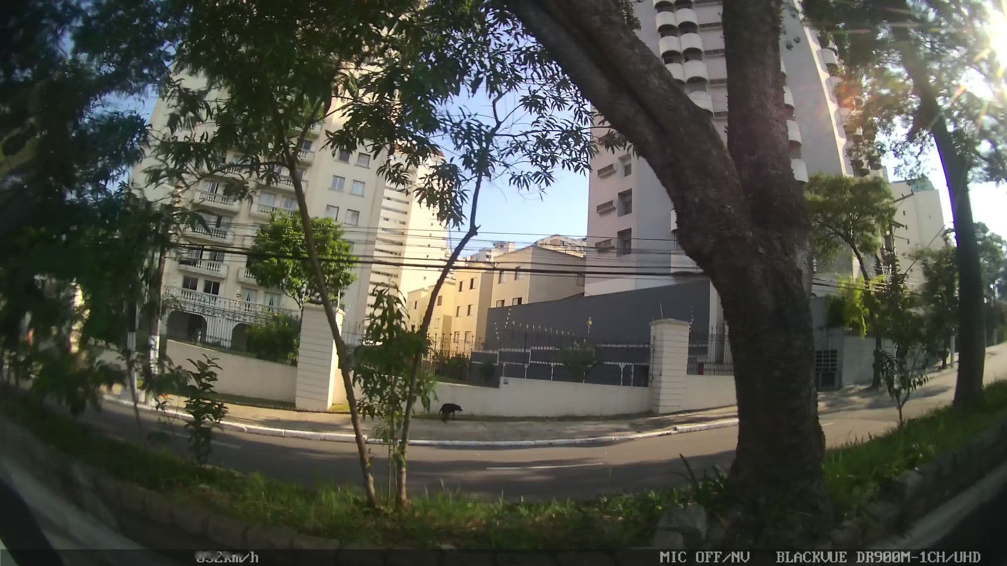 Street view near Palm Leaf Hotel, São Bernardo do Campo — © kaart_2 (CC BY-SA · Mapillary)