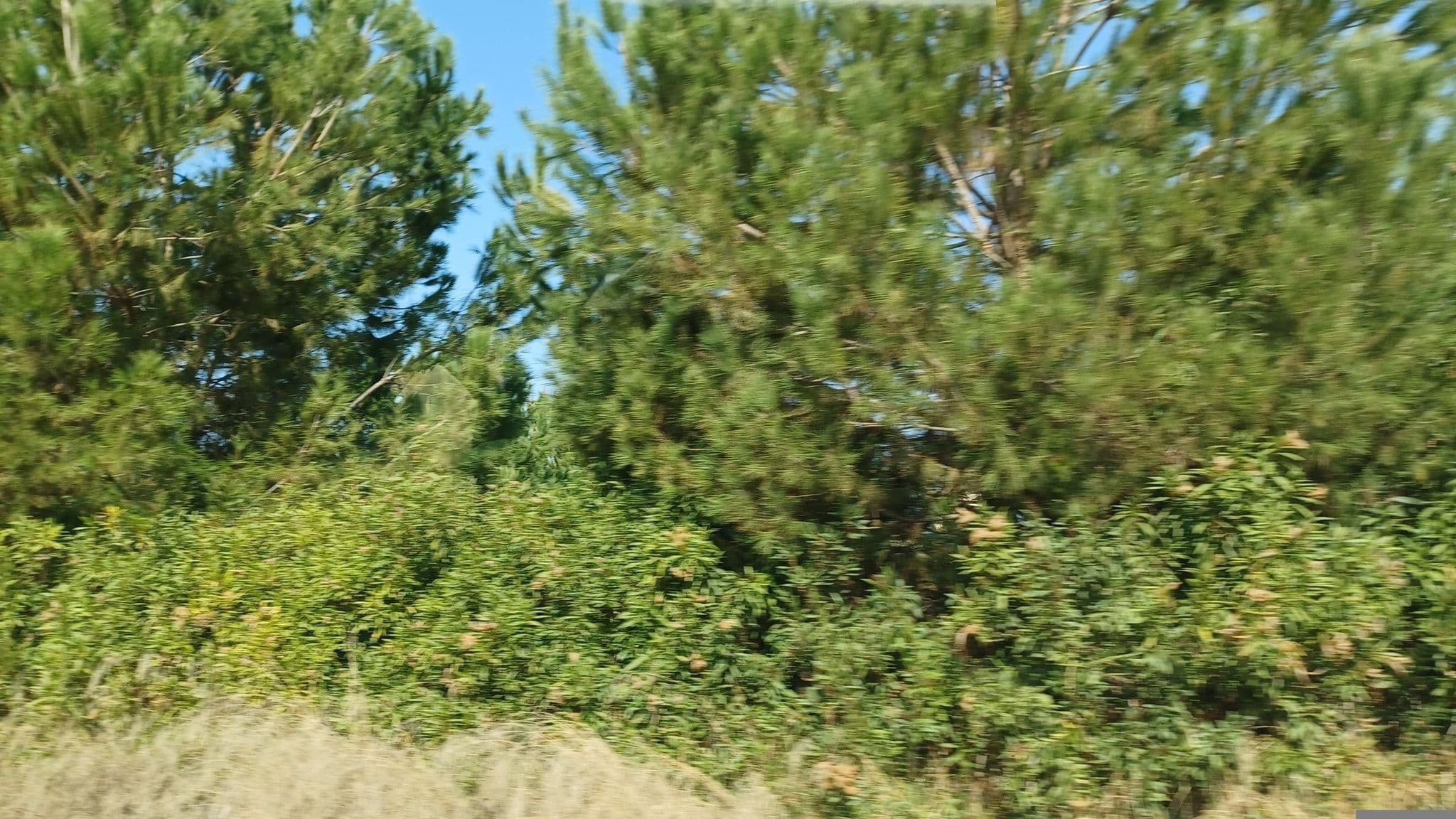 Street view near Simila Cyprus Sandy Beach Villa, Pólis — © noa1 (CC BY-SA · Mapillary)