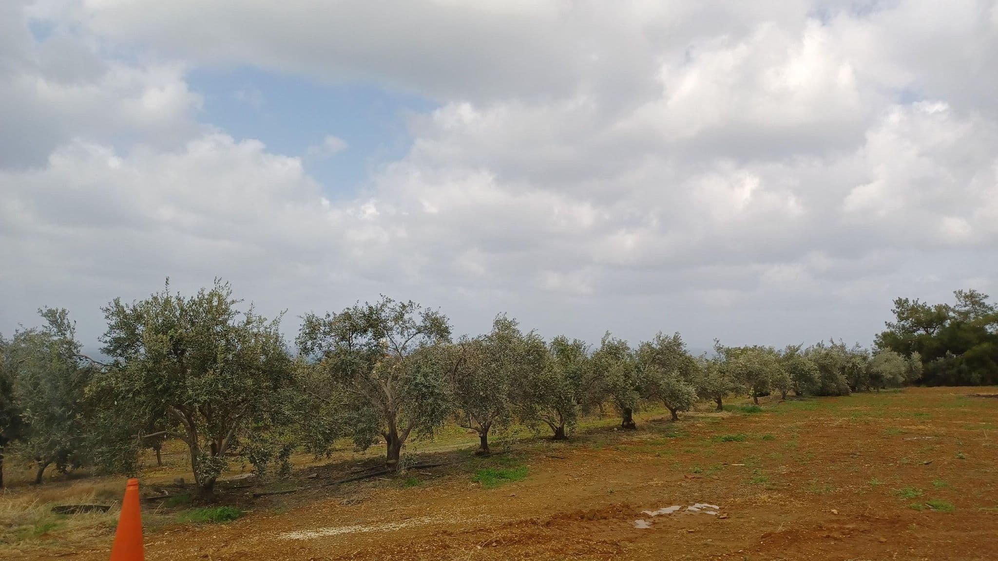 Street view near Petrides Villa, Argáka — © noa1 (CC BY-SA · Mapillary)