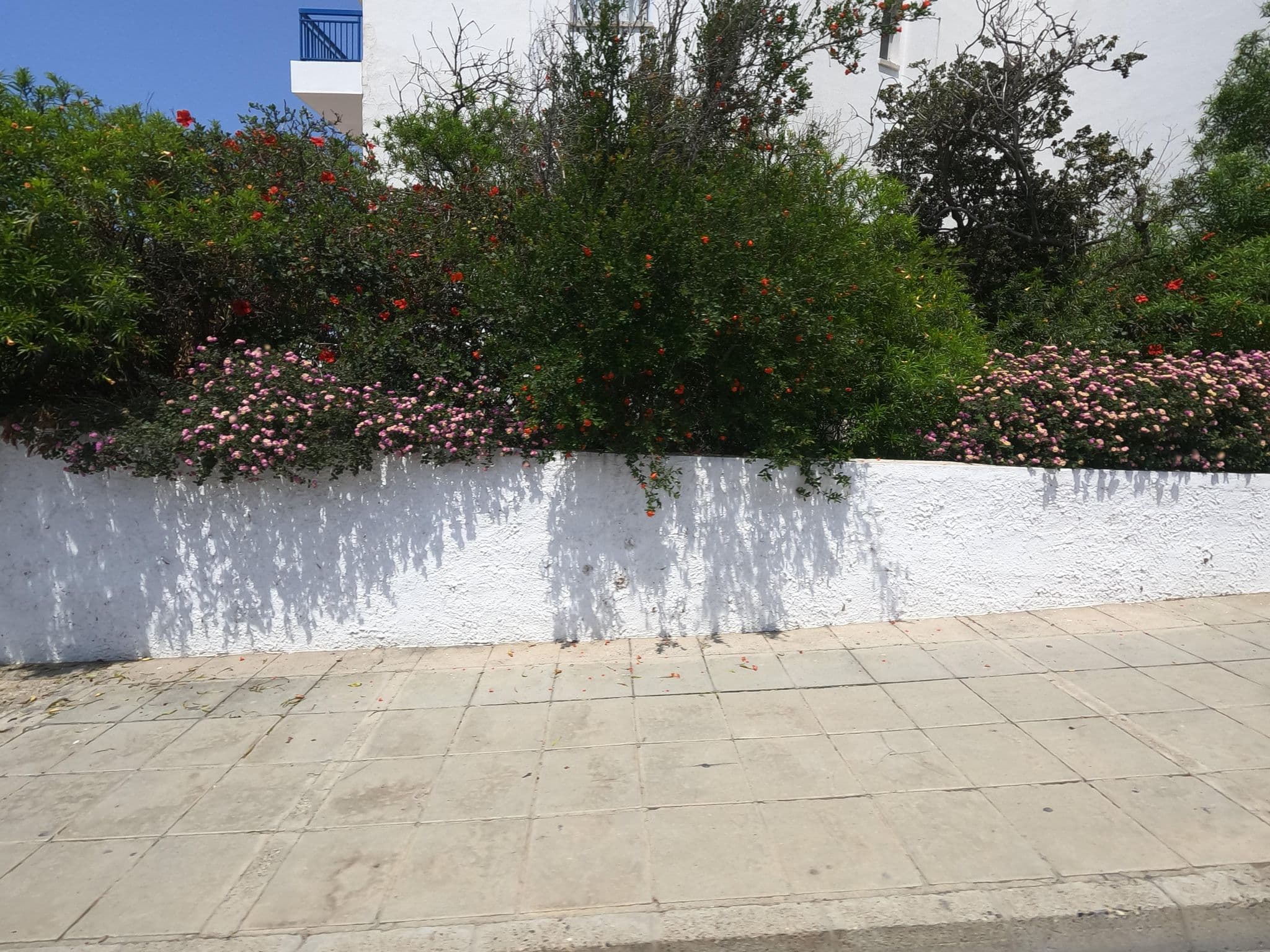 Street view near Marina, Ayia Napa — © noa1 (CC BY-SA · Mapillary)
