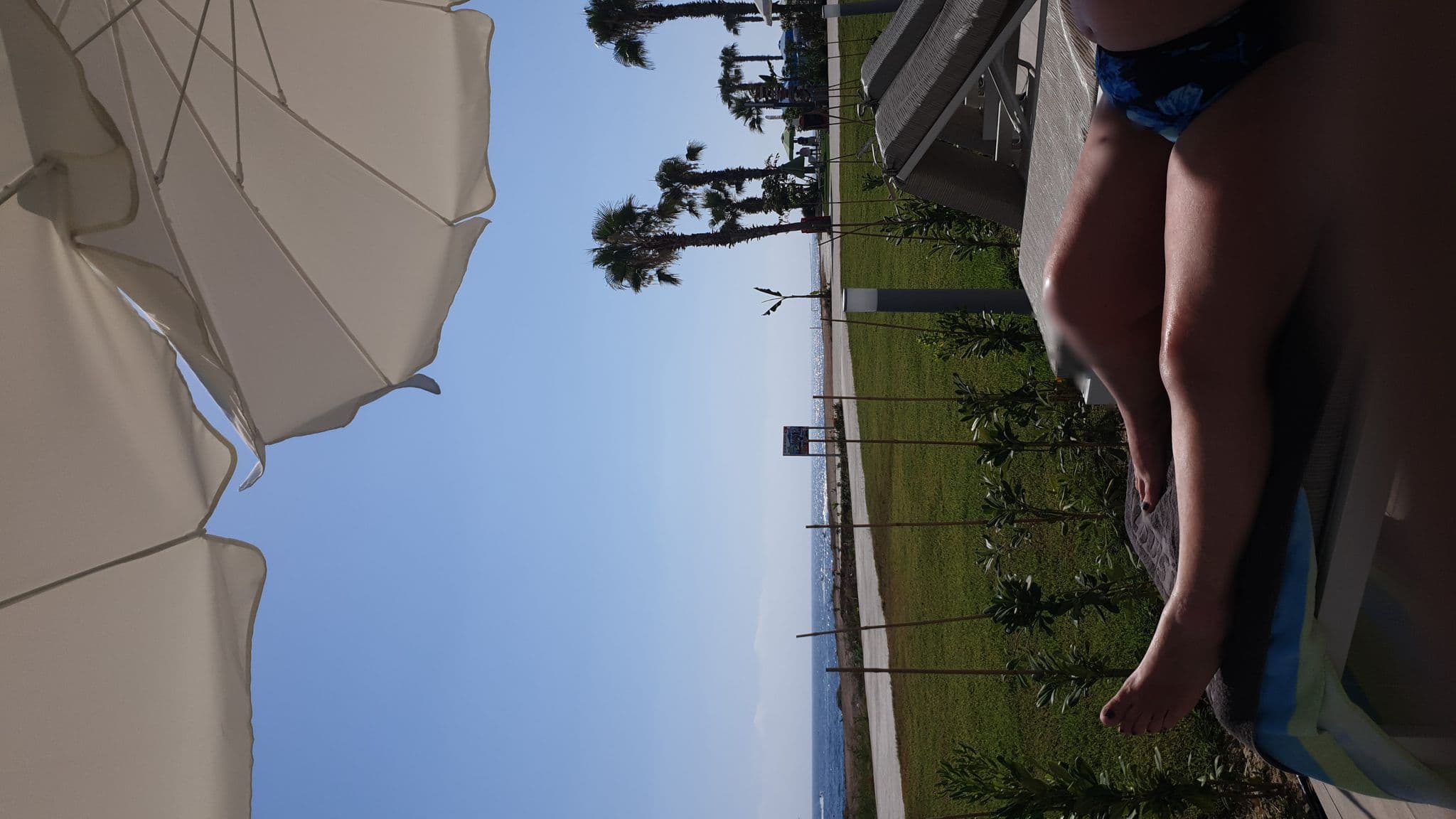 Street view near The Ivi Mare, Geroskipou — © locky (CC BY-SA · Mapillary)