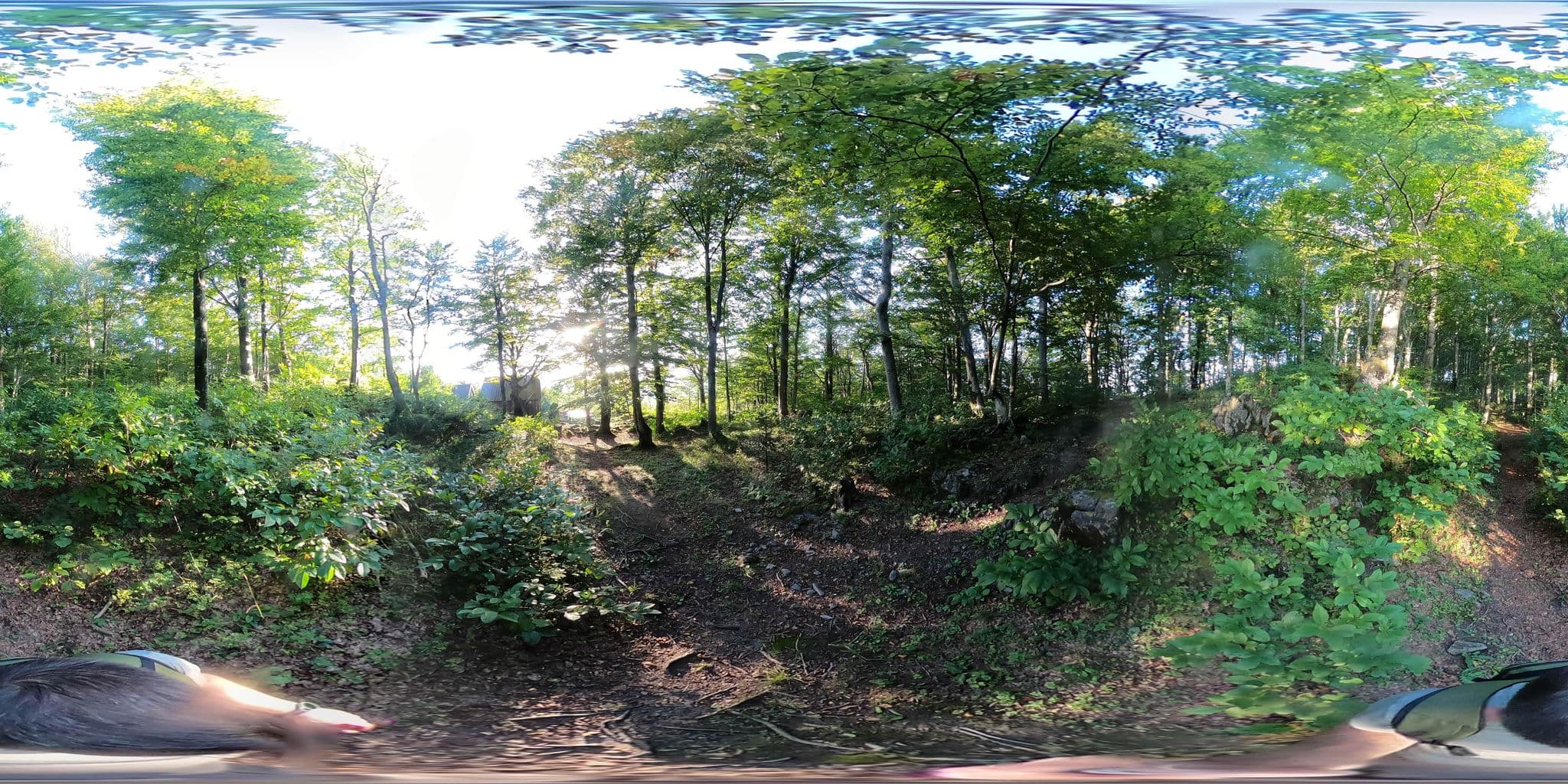 Street view near Sklonište Stožac, Ogulin — © isvedic (CC BY-SA · Mapillary)