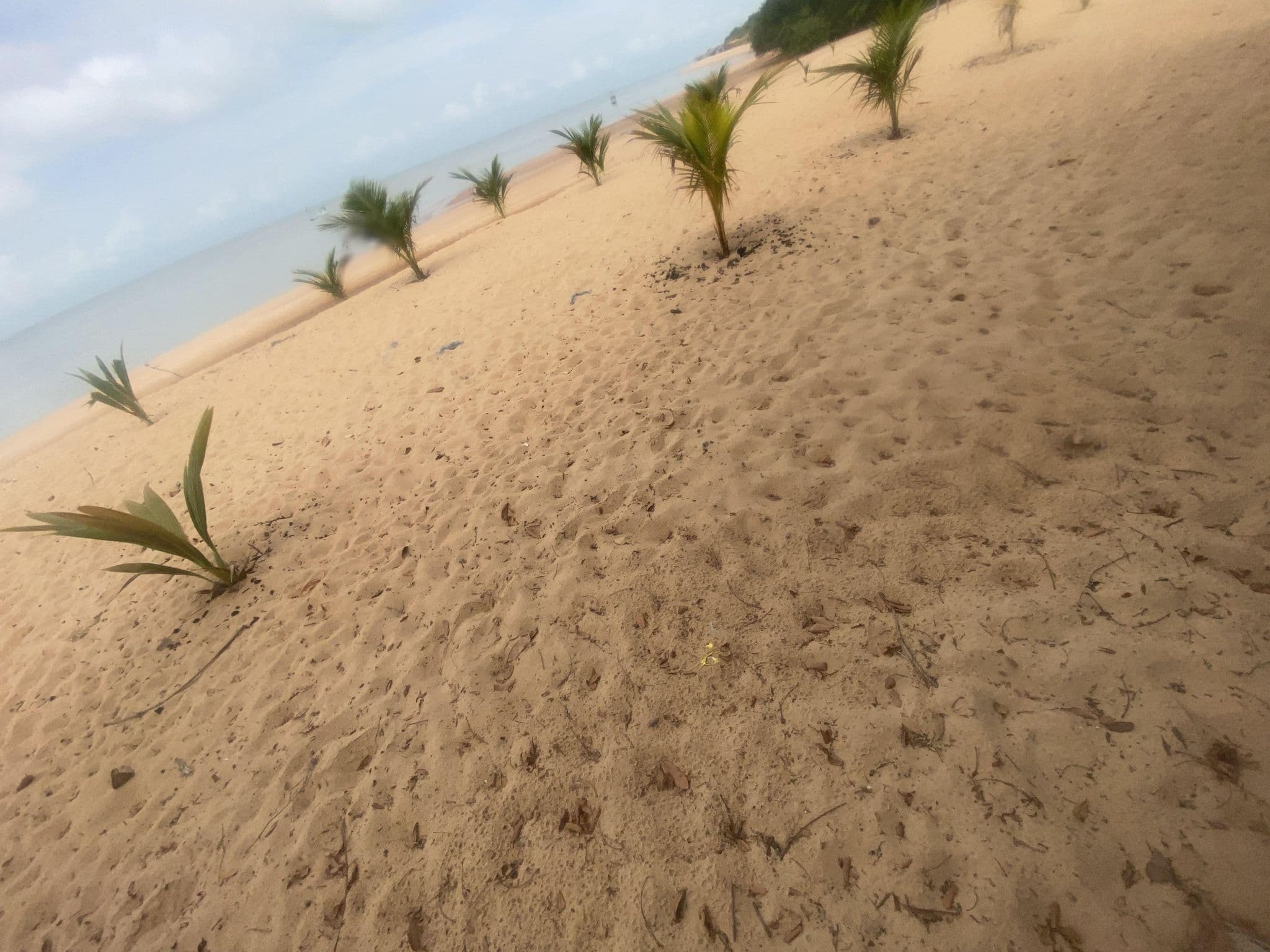 Street view near Pousada Rios, Belém — © raposa (CC BY-SA · Mapillary)