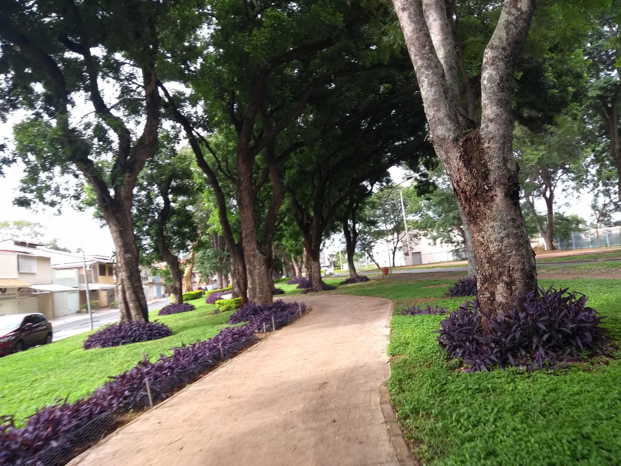 Street view near Private Suite in Lovely House, Plano Piloto — © wille (CC BY-SA · Mapillary)