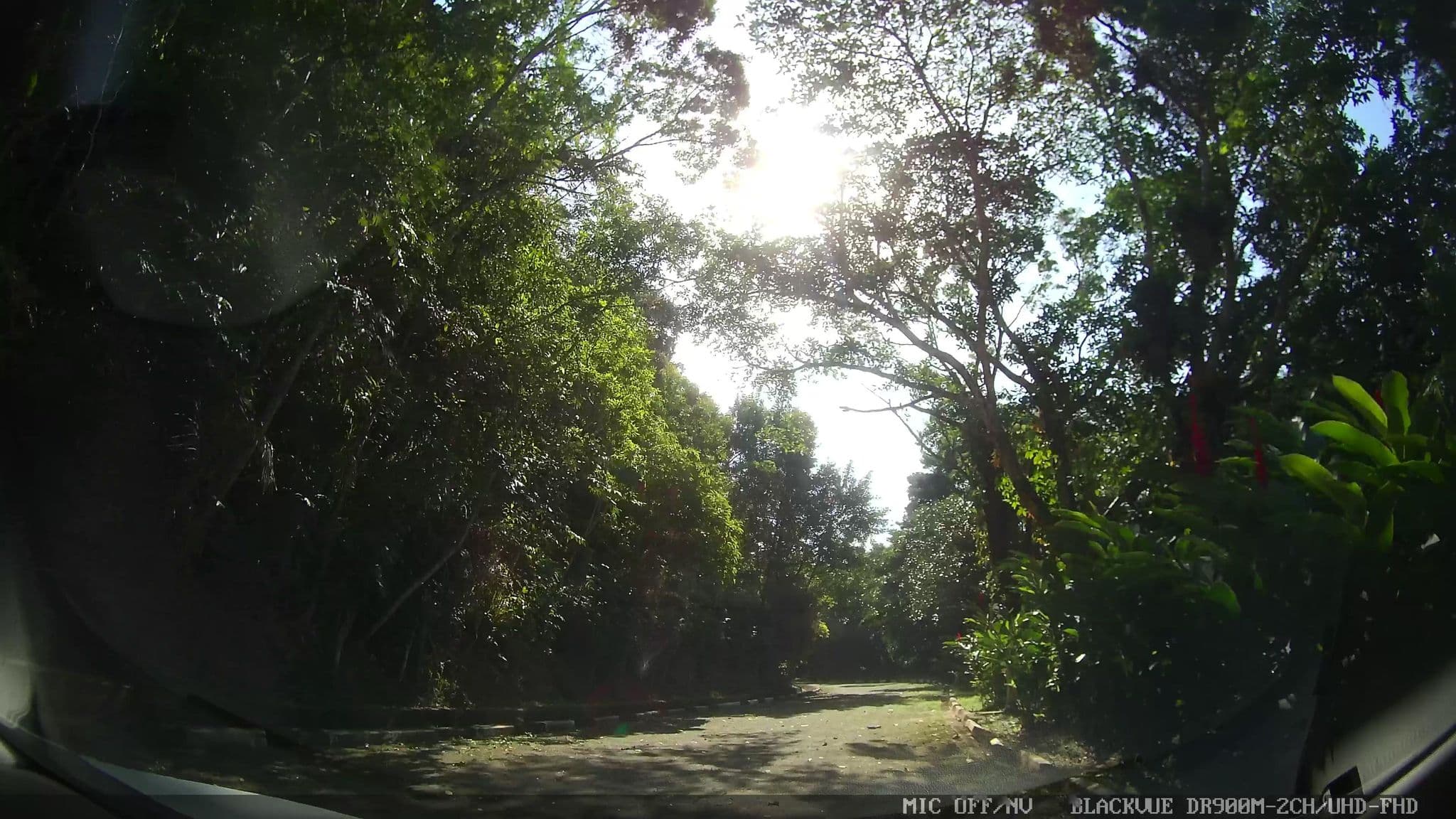 Street view near Refúgio do Éden, Guarujá — © marciosampaio (CC BY-SA · Mapillary)