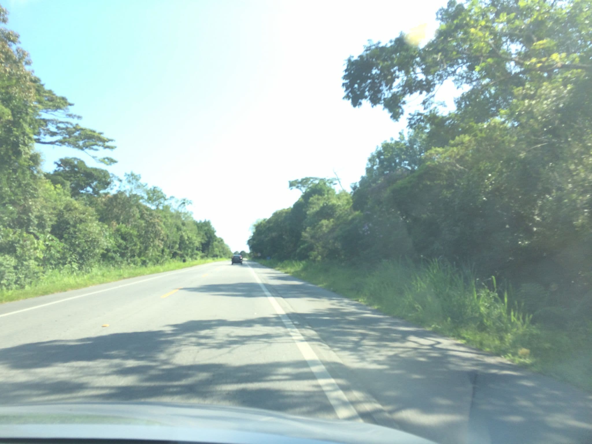 Street view near Guarubora, Salesópolis — © harry_wood (CC BY-SA · Mapillary)