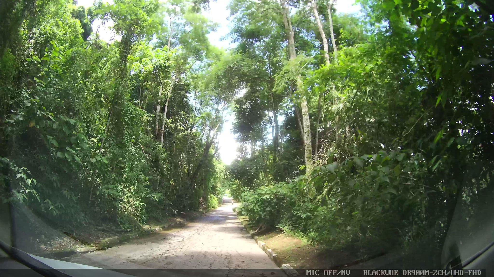 Street view near Pousada Sandramar, Caraguatatuba — © marciosampaio (CC BY-SA · Mapillary)