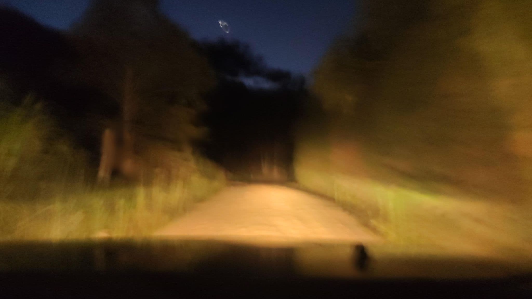Street view near Hospedaria Vida Na Roça, Sapucaí-Mirim — © fepol (CC BY-SA · Mapillary)